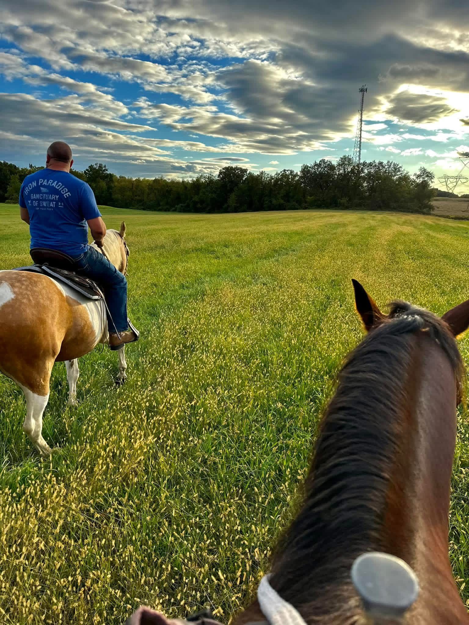 Hay field