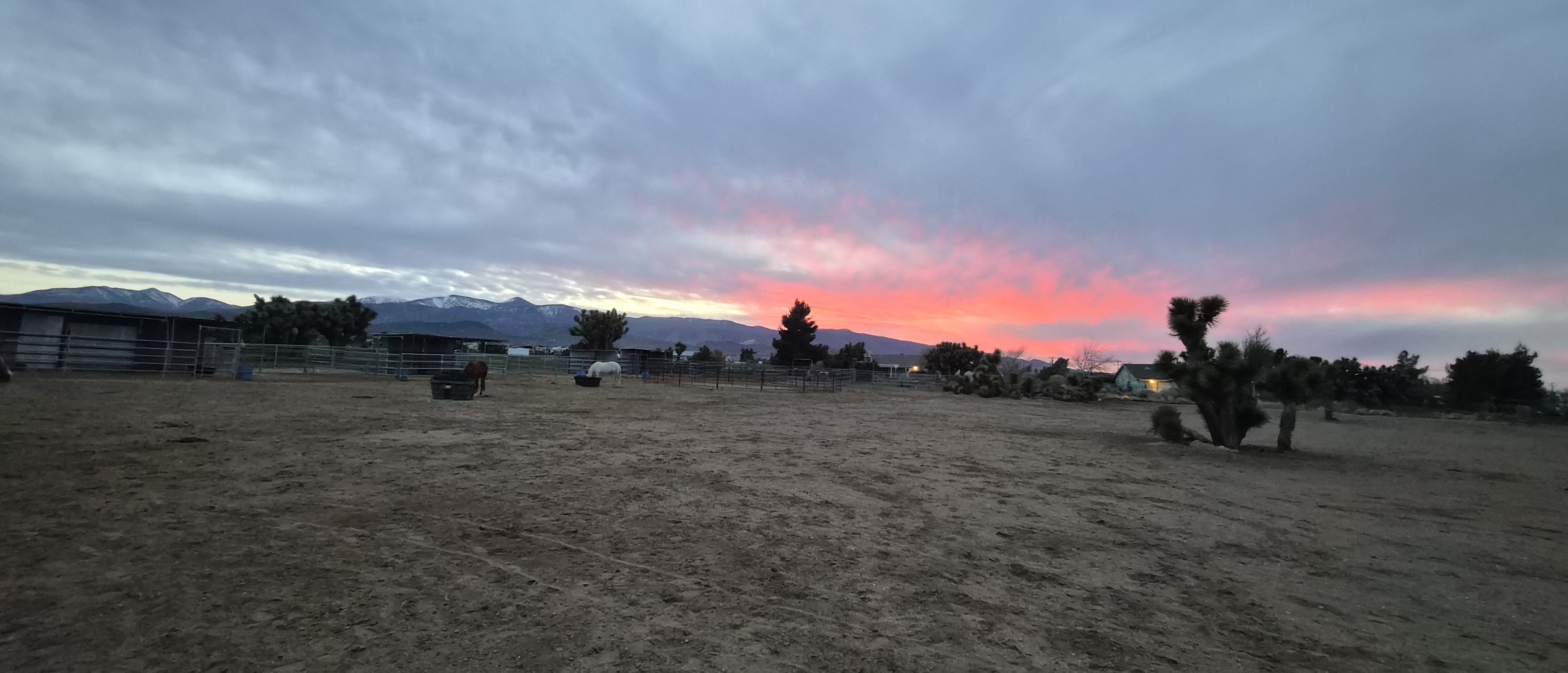 Sunset