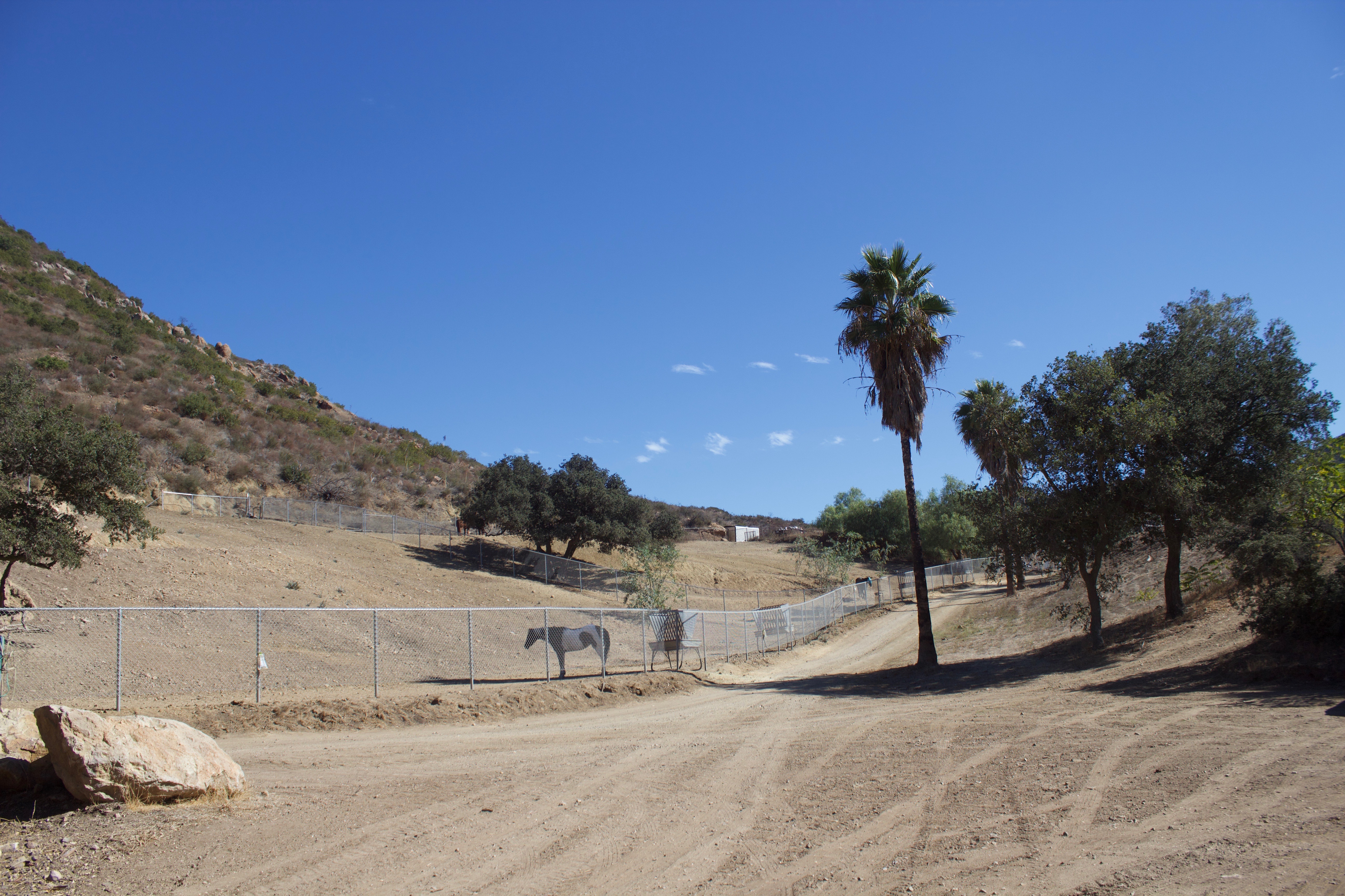 Pastures and common areas