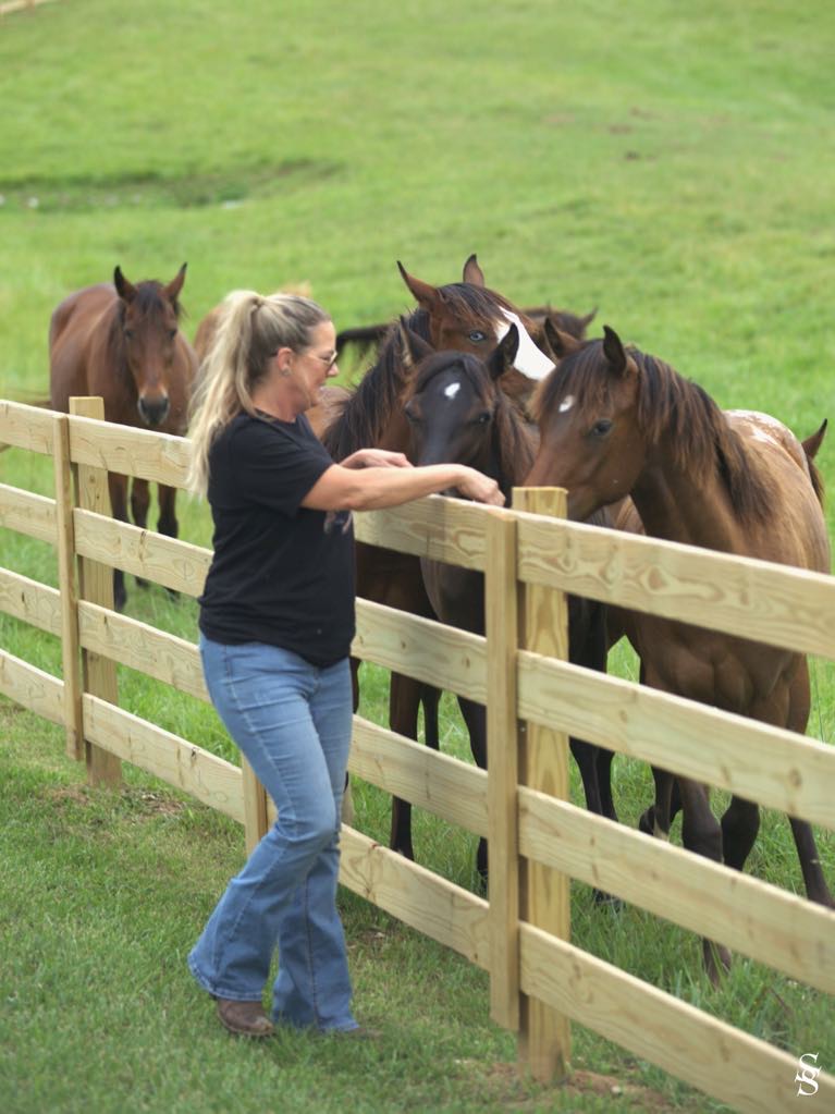 4 board fencing