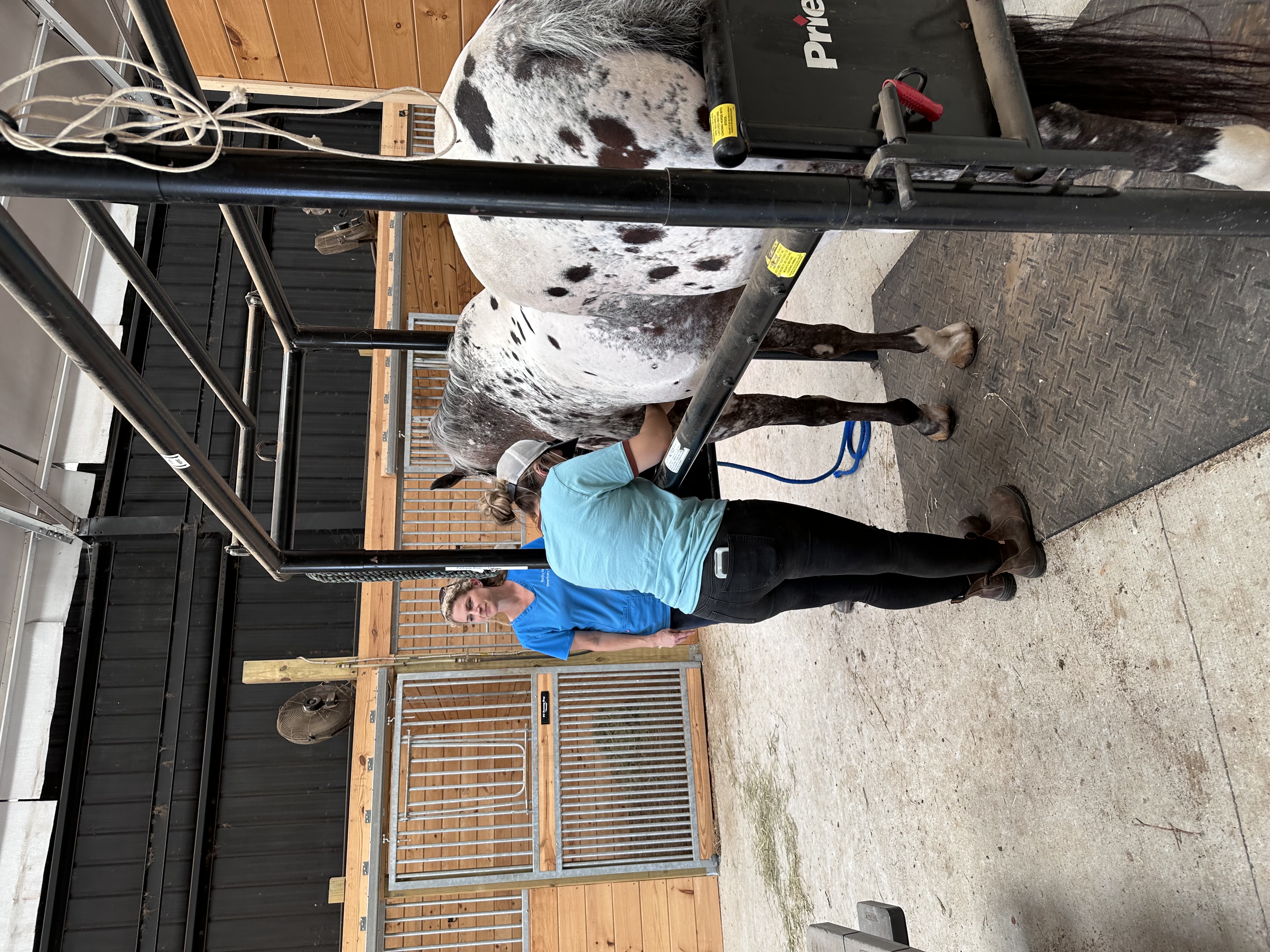 Stocks and vet lab
