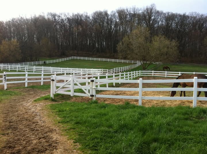 paddocks