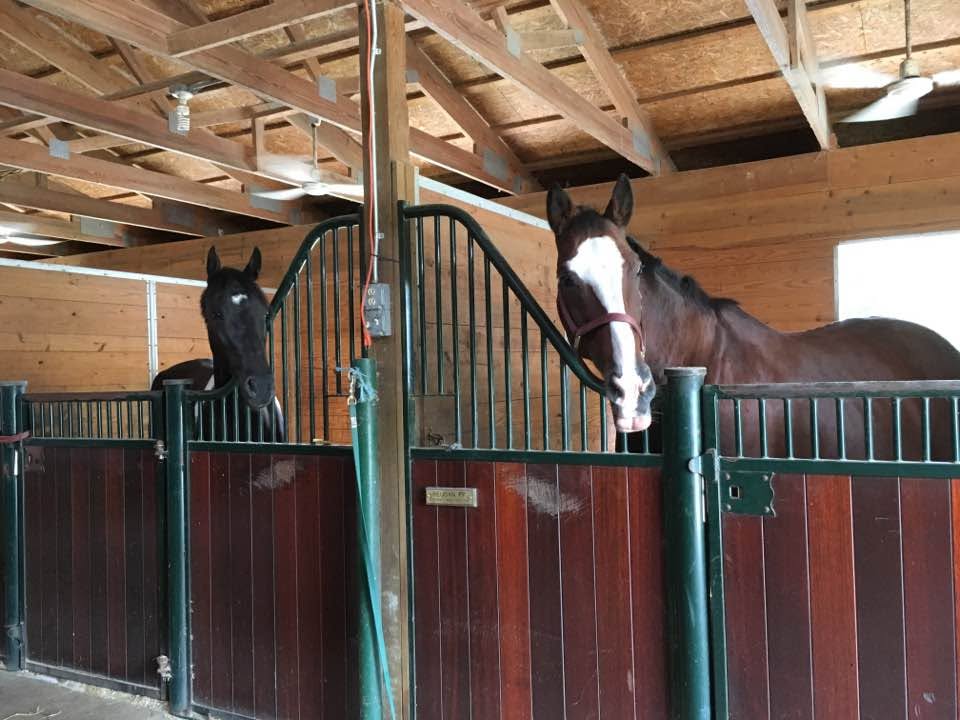 stalls
