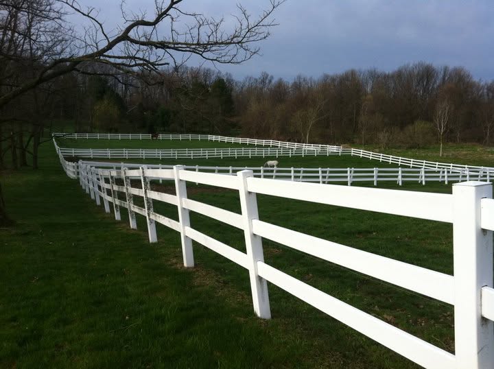 paddocks