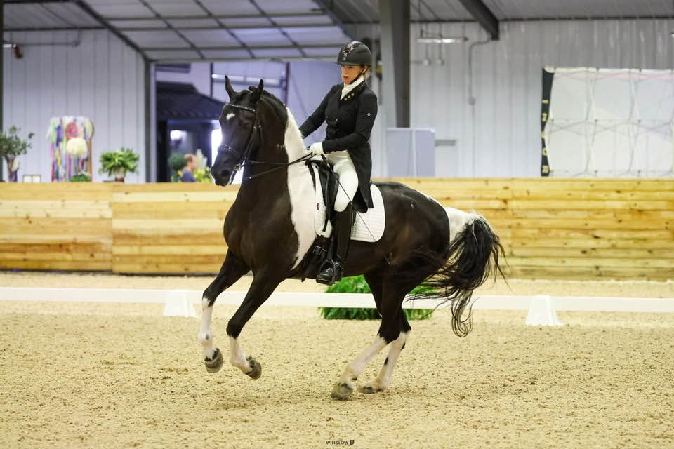 one of the horses I trained from rescue to I-1