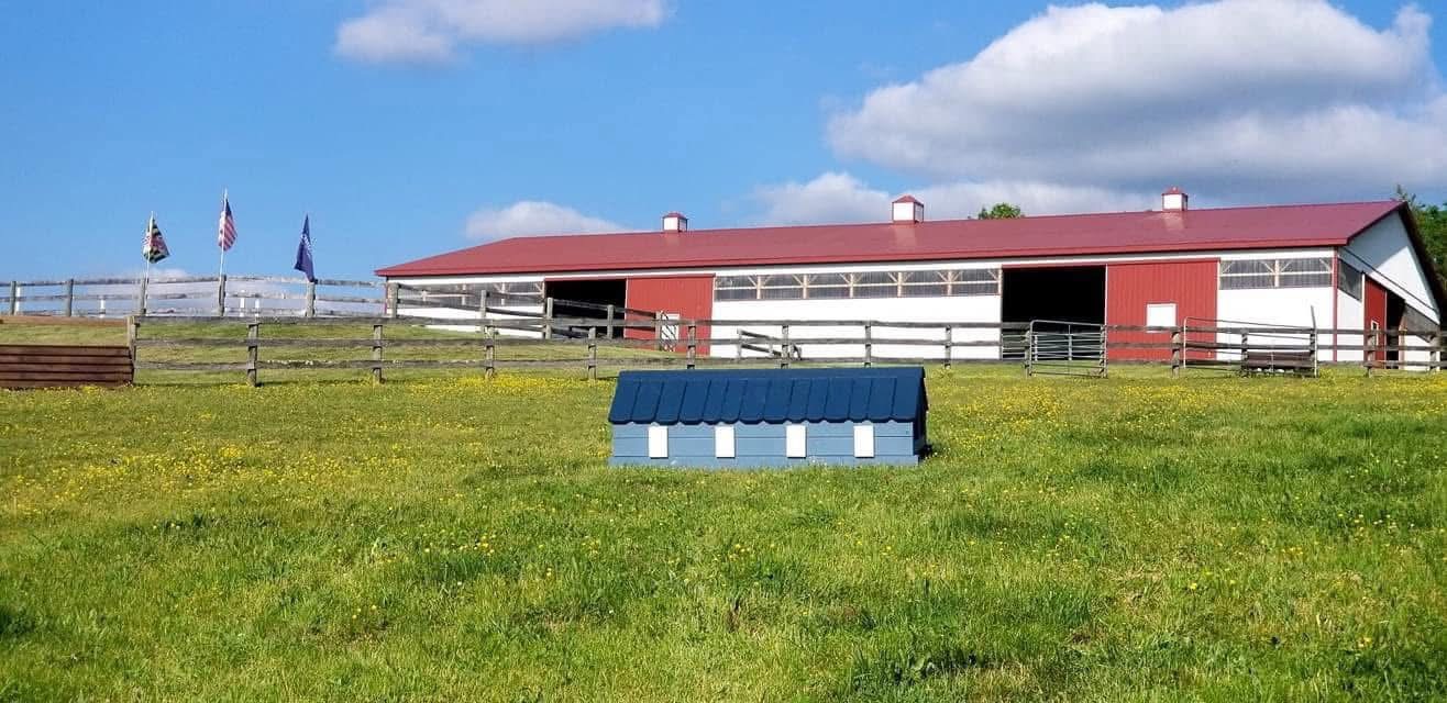 Xc arena