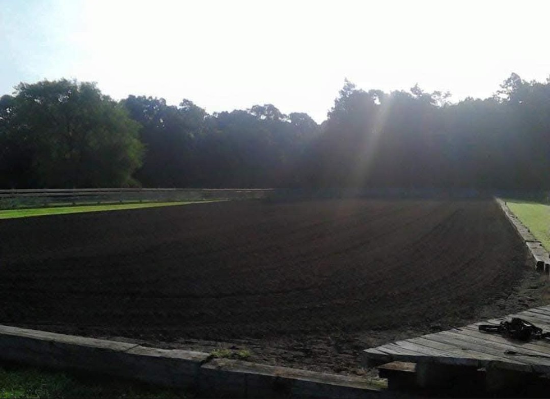 Arena