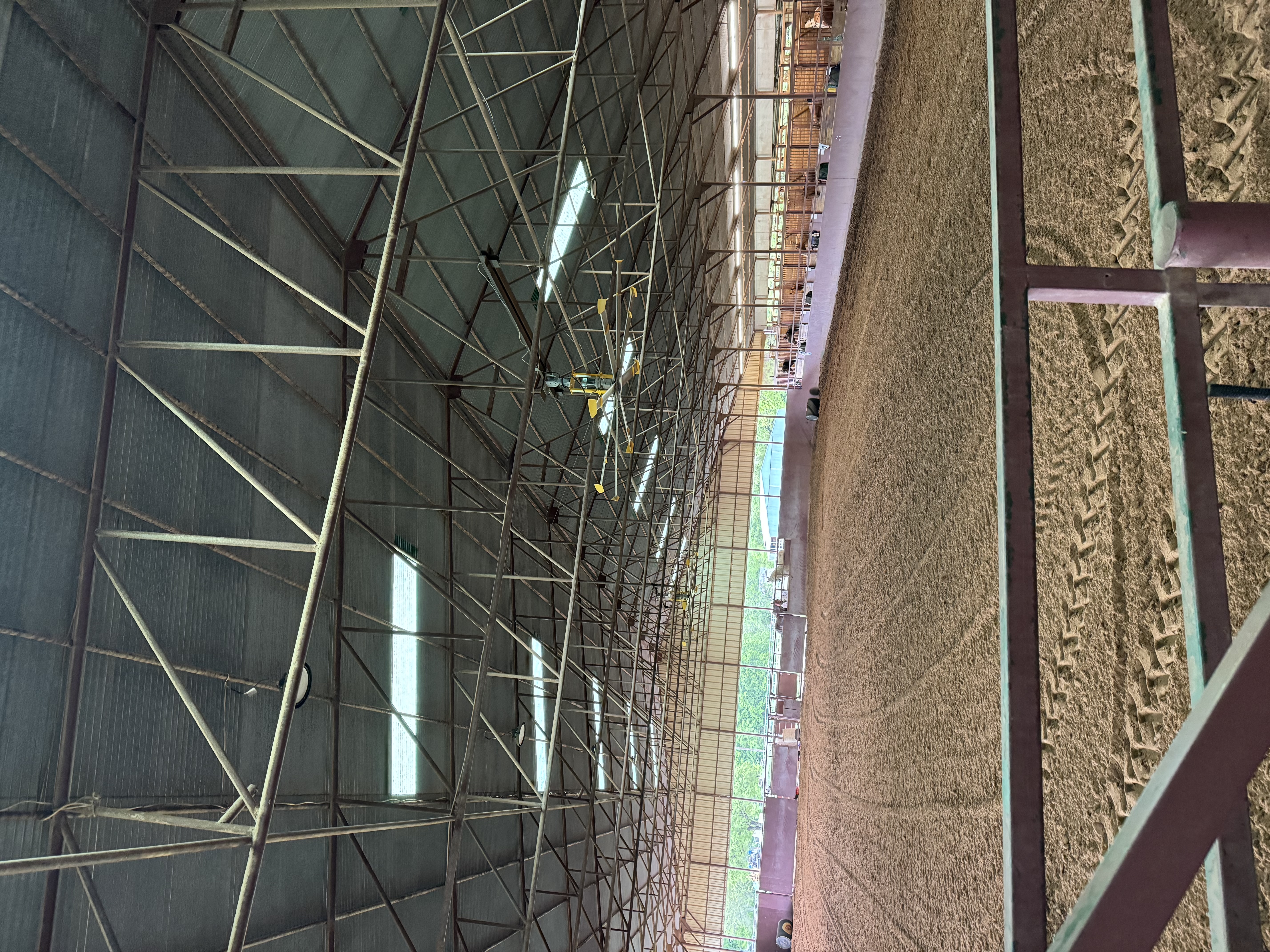 Arena