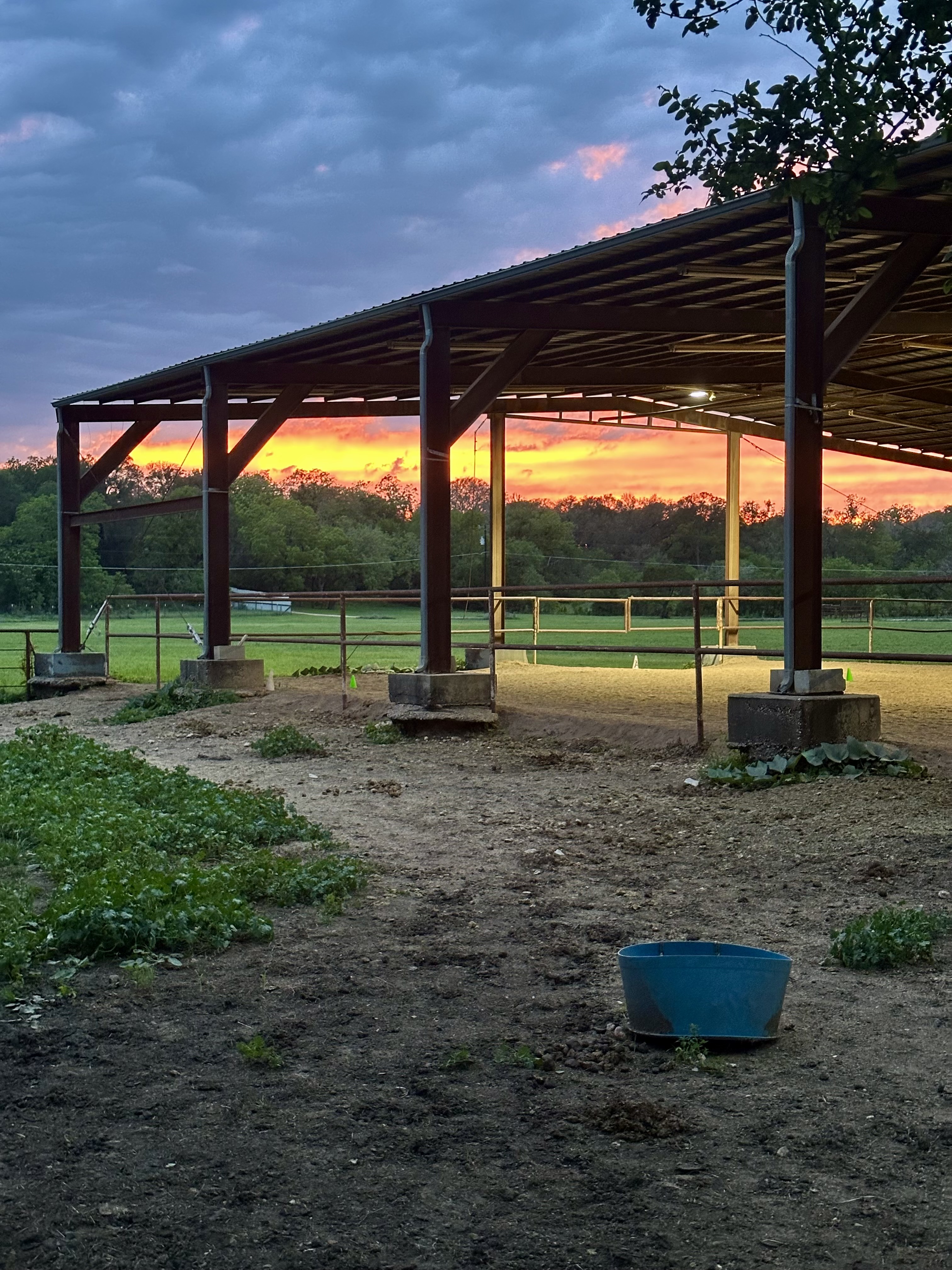Covered Arena at Sunset