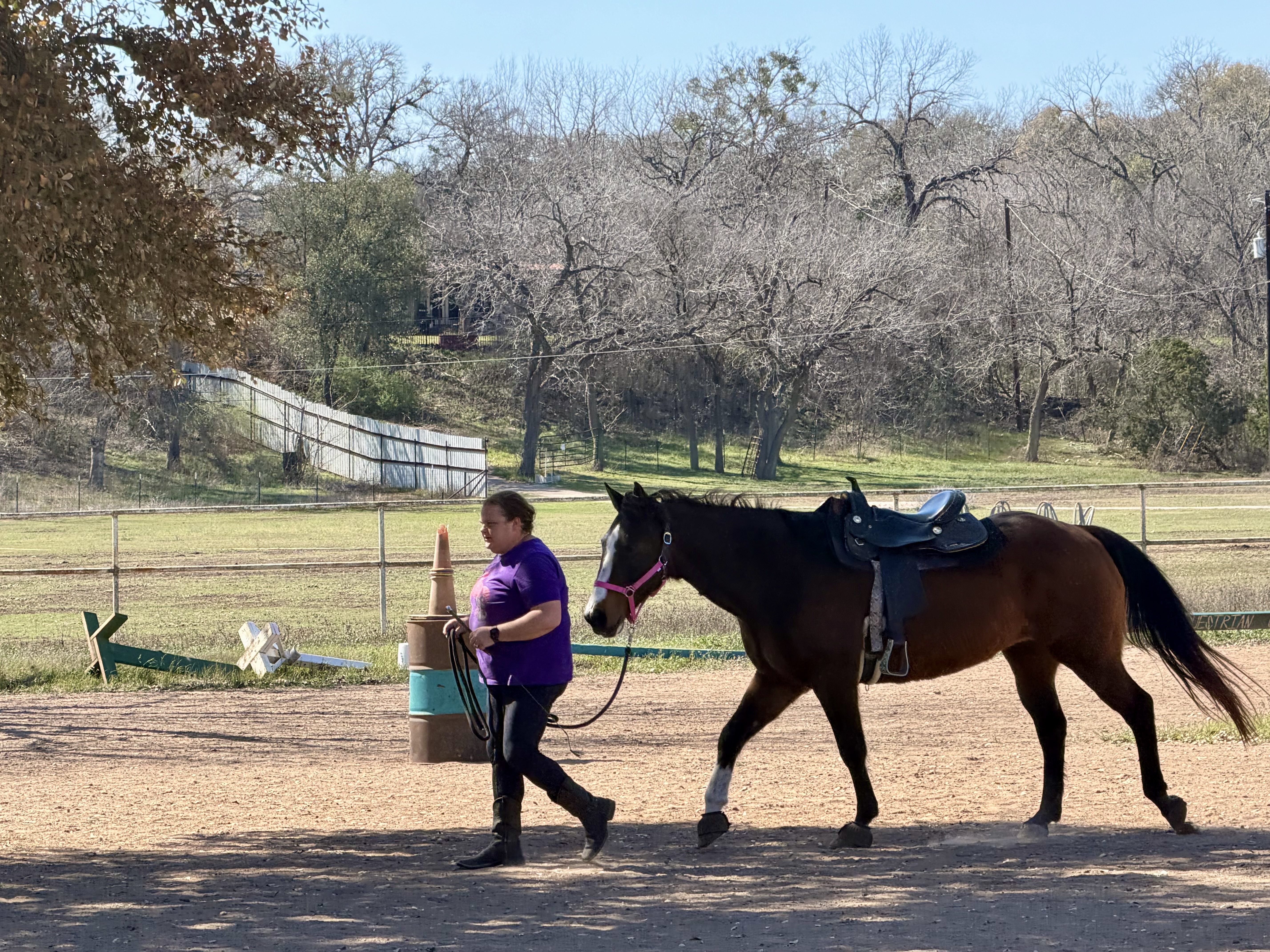 Horse and rider in arena
