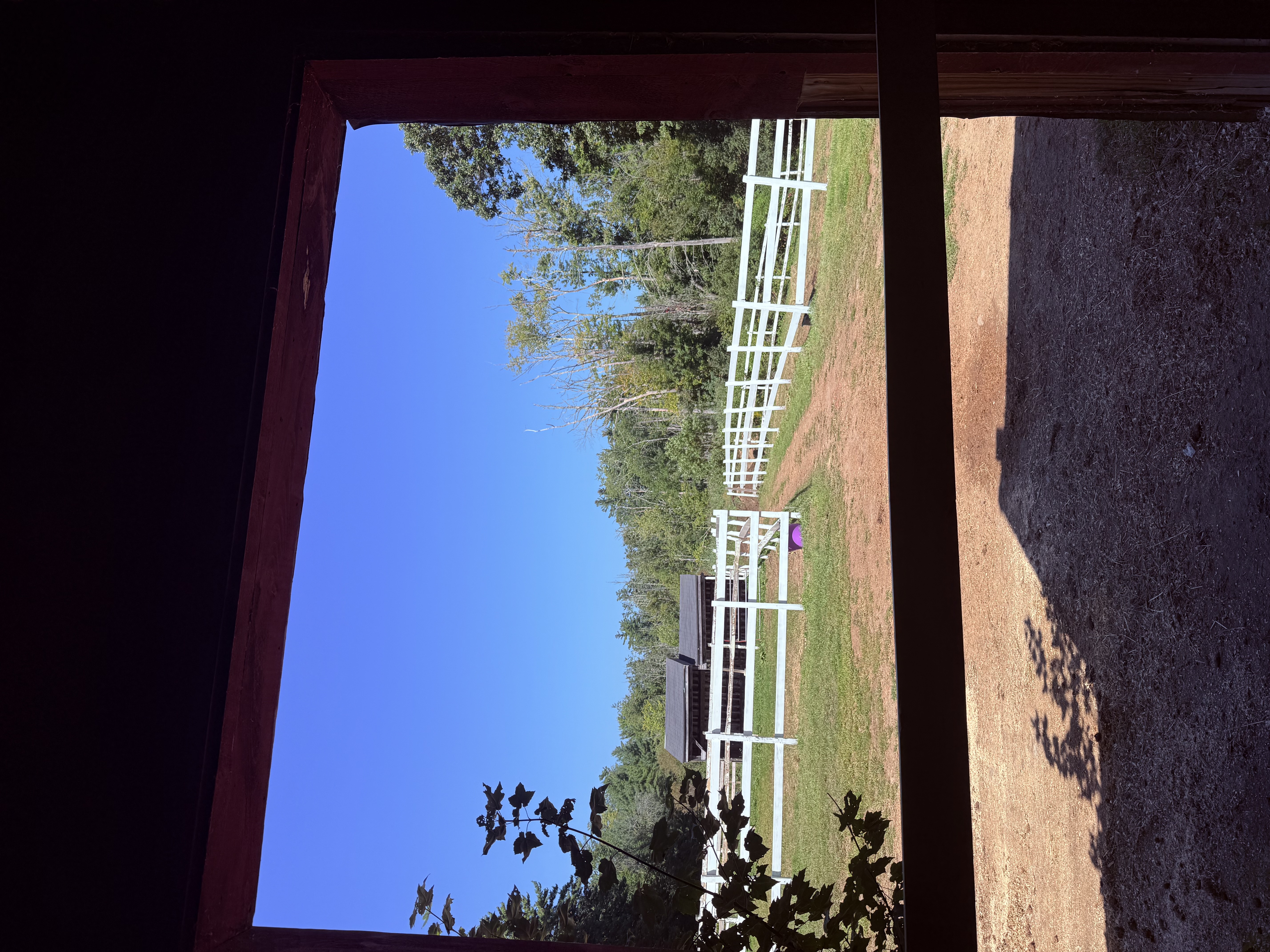 Pastures