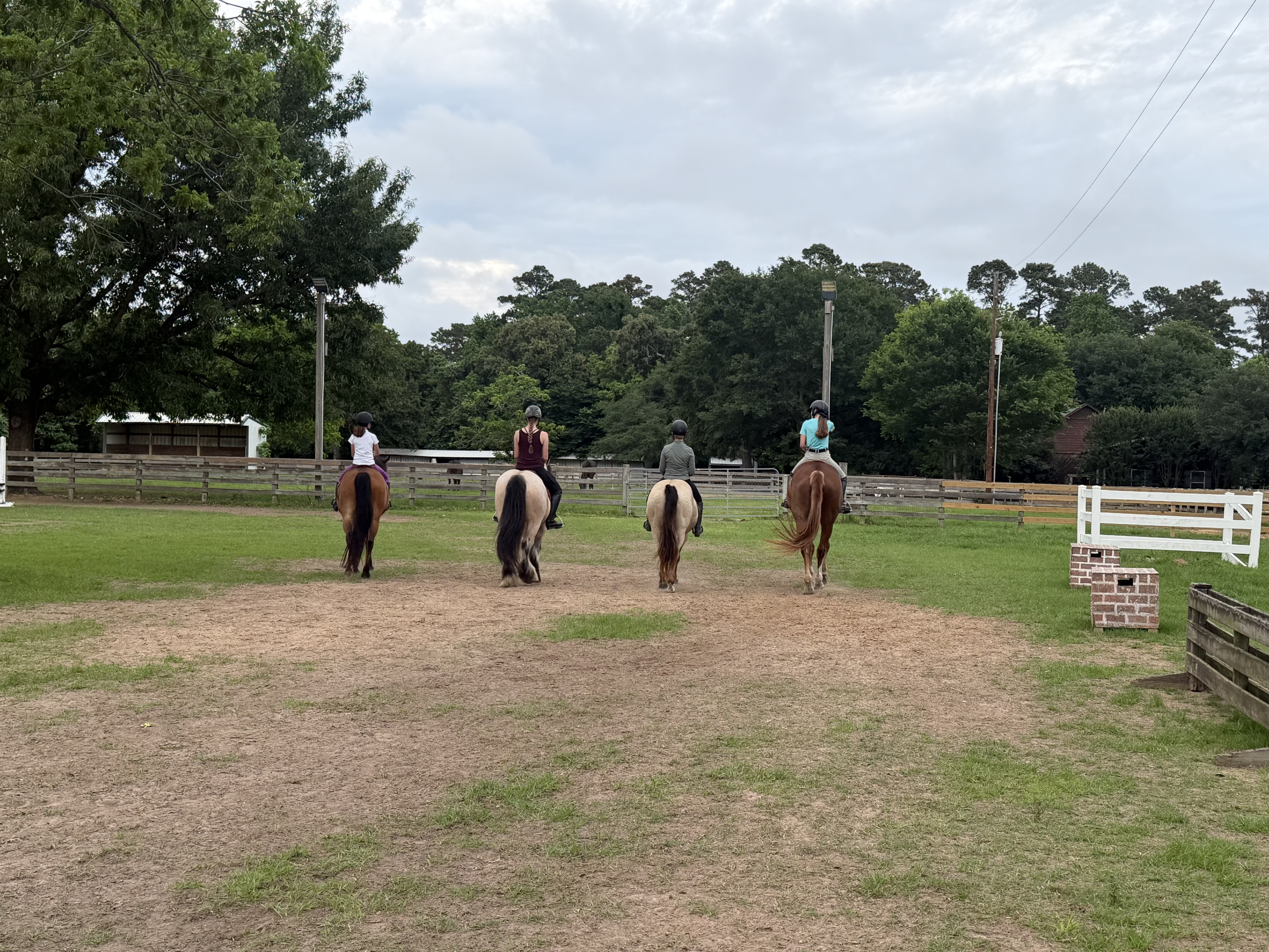 Friendly lesson groups for all ages and skills