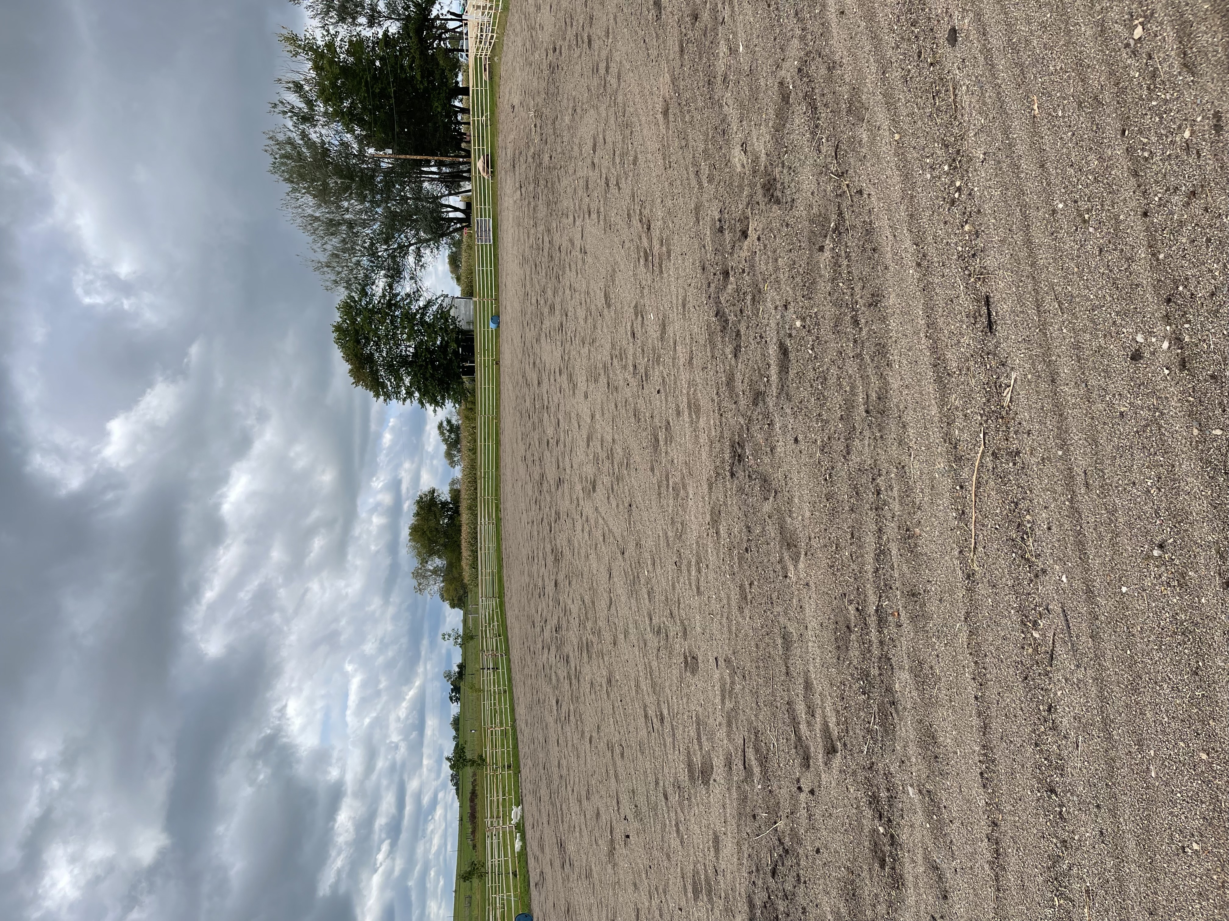 Outdoor arena