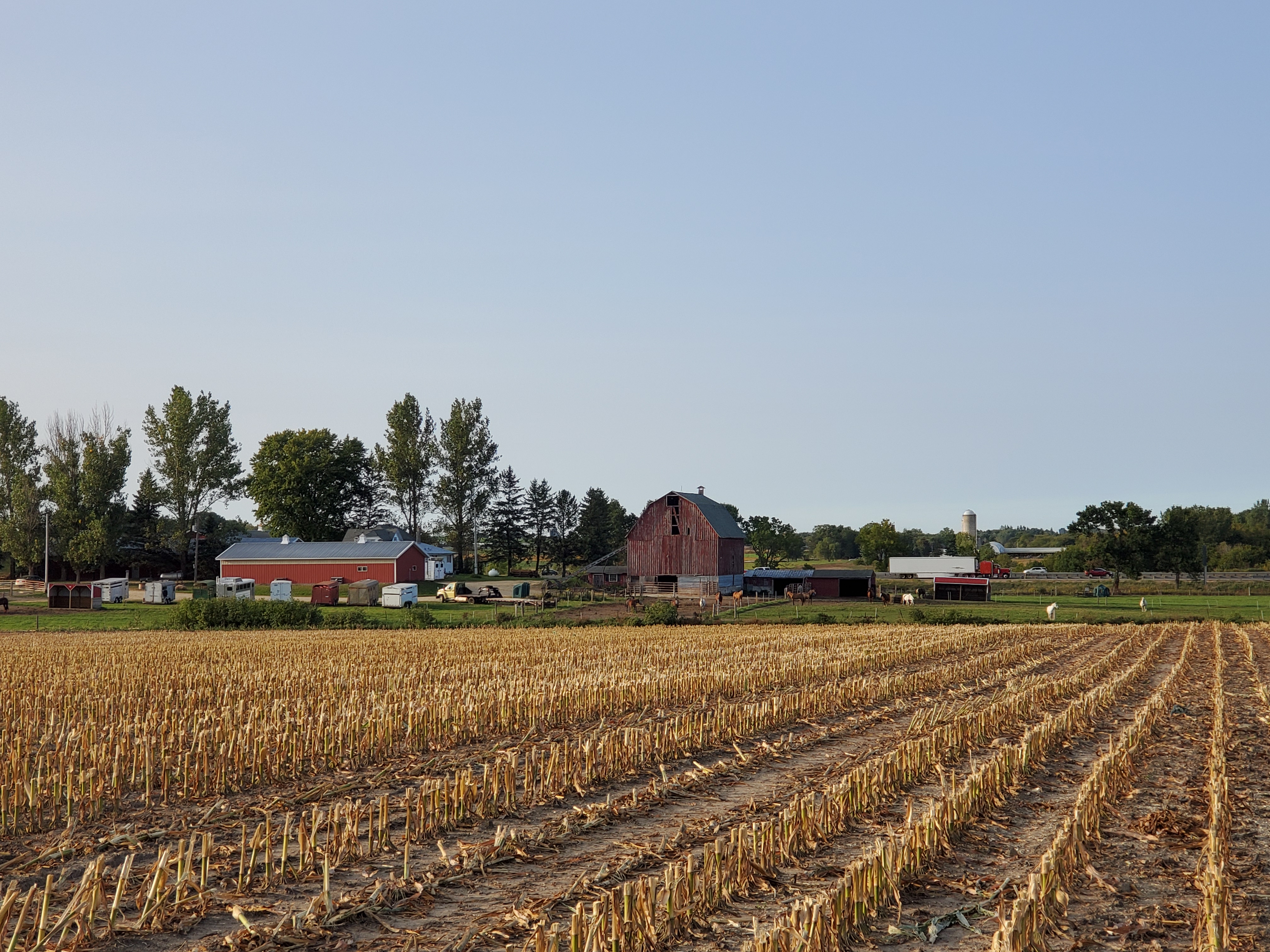 The farm
