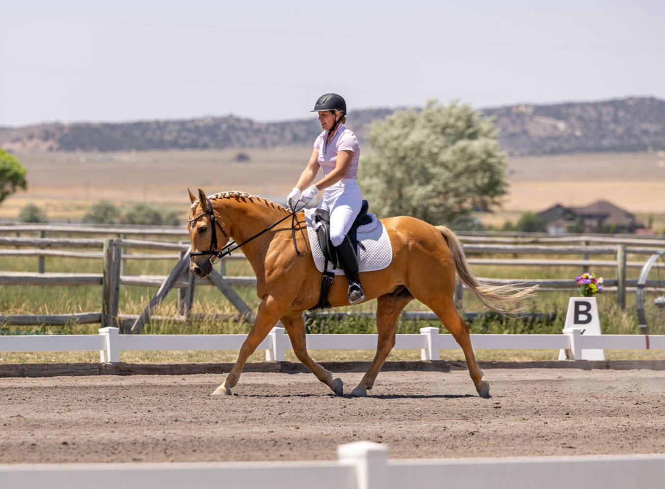 Trainer competing USDF