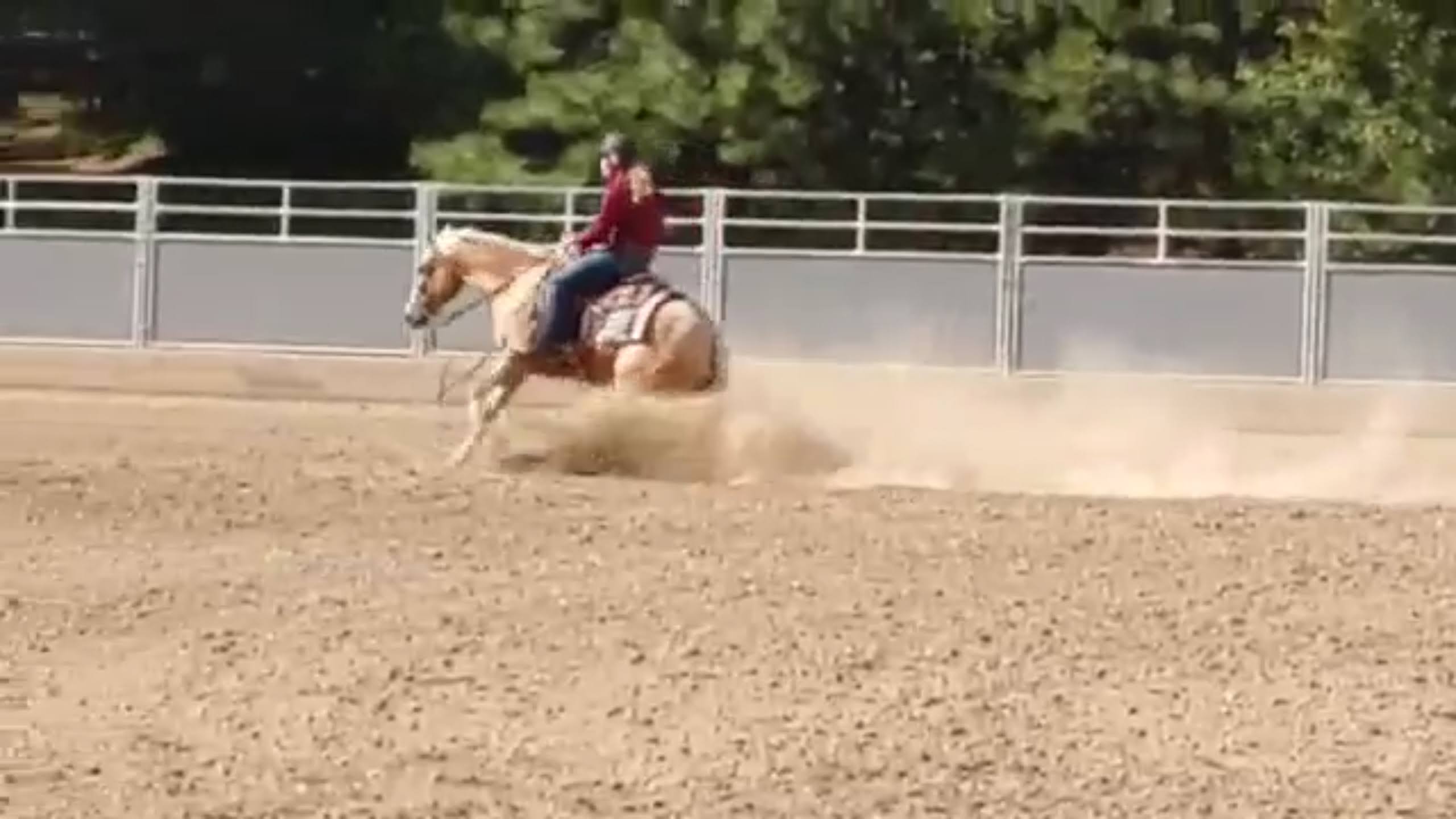 Trainer Competing NRHA