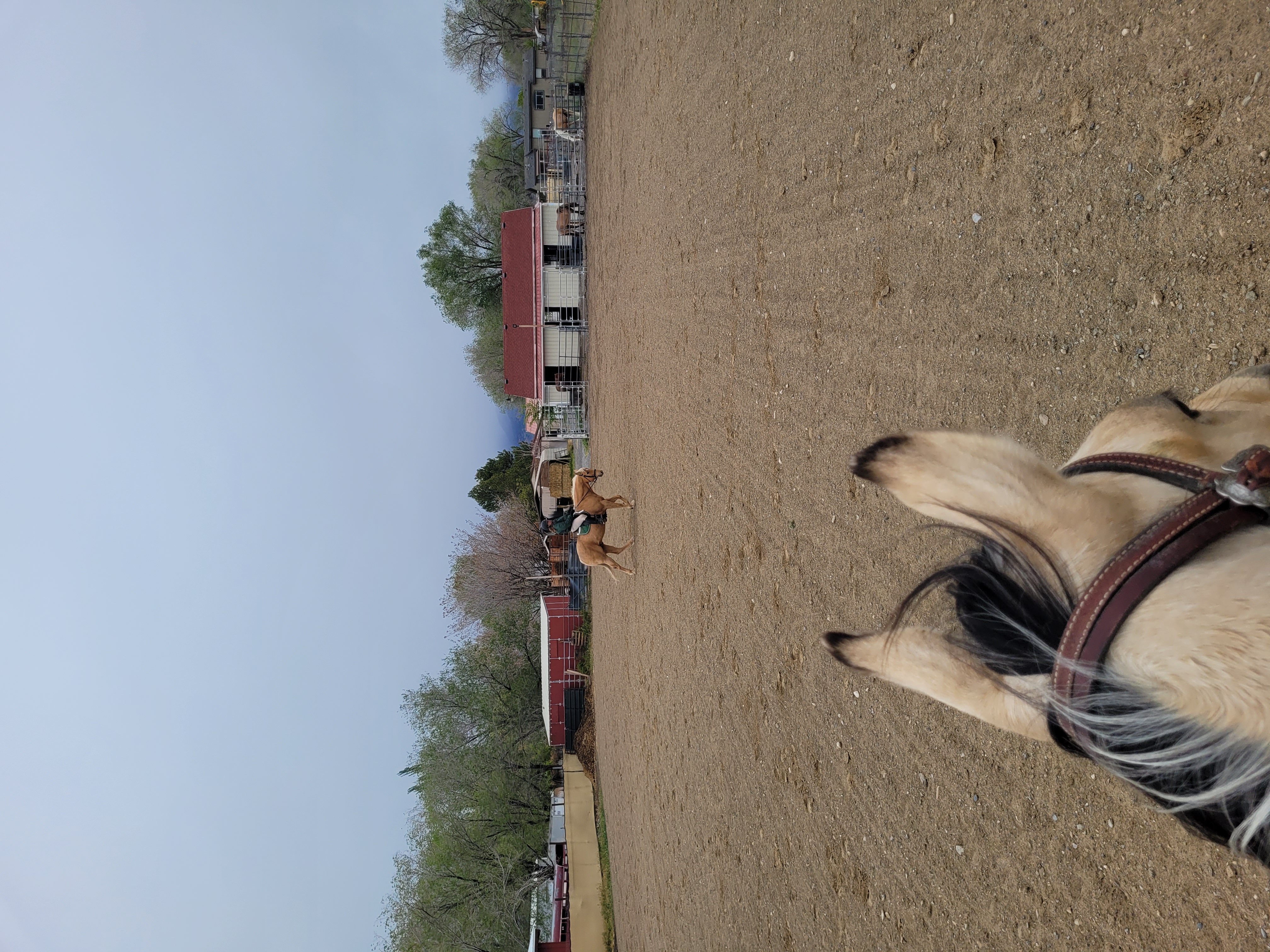Large arena and Barns visible