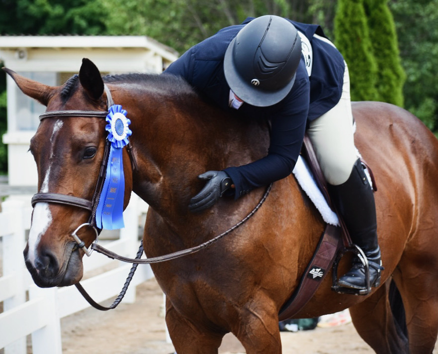 Horse show life