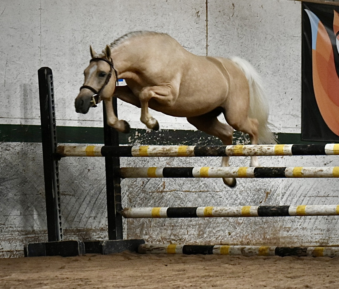 Jump chute training