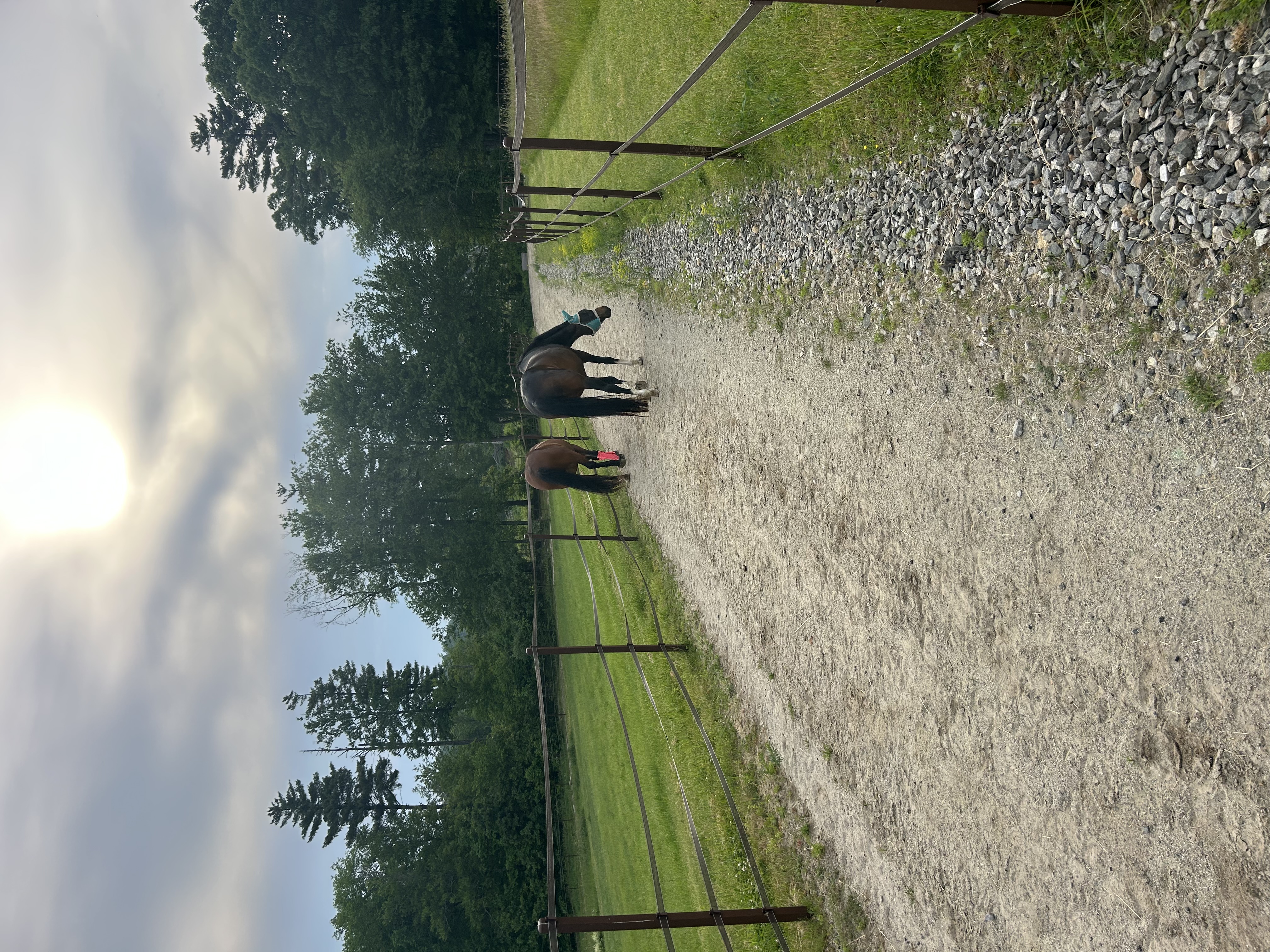 Track paths to keep them moving between resources