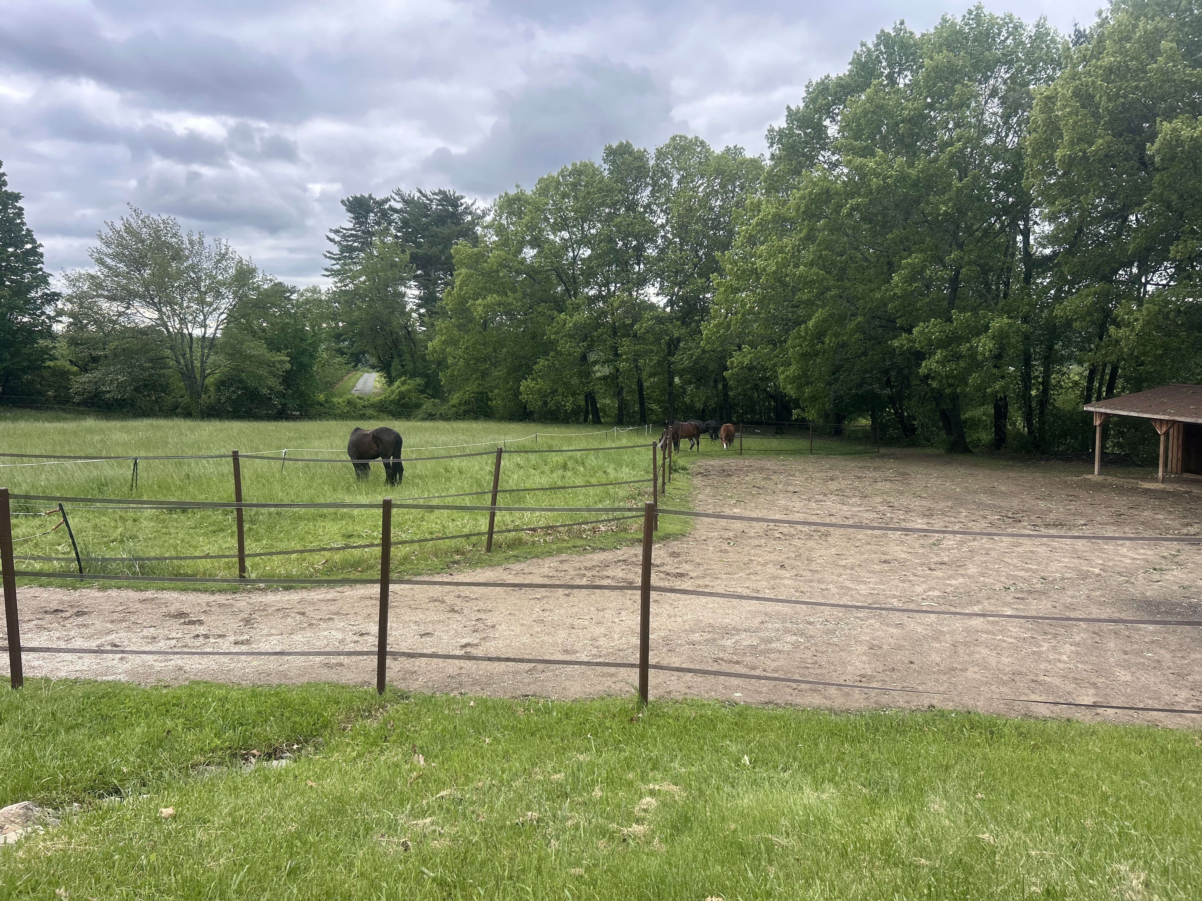Seasonal grazing available for non-metabolic horses