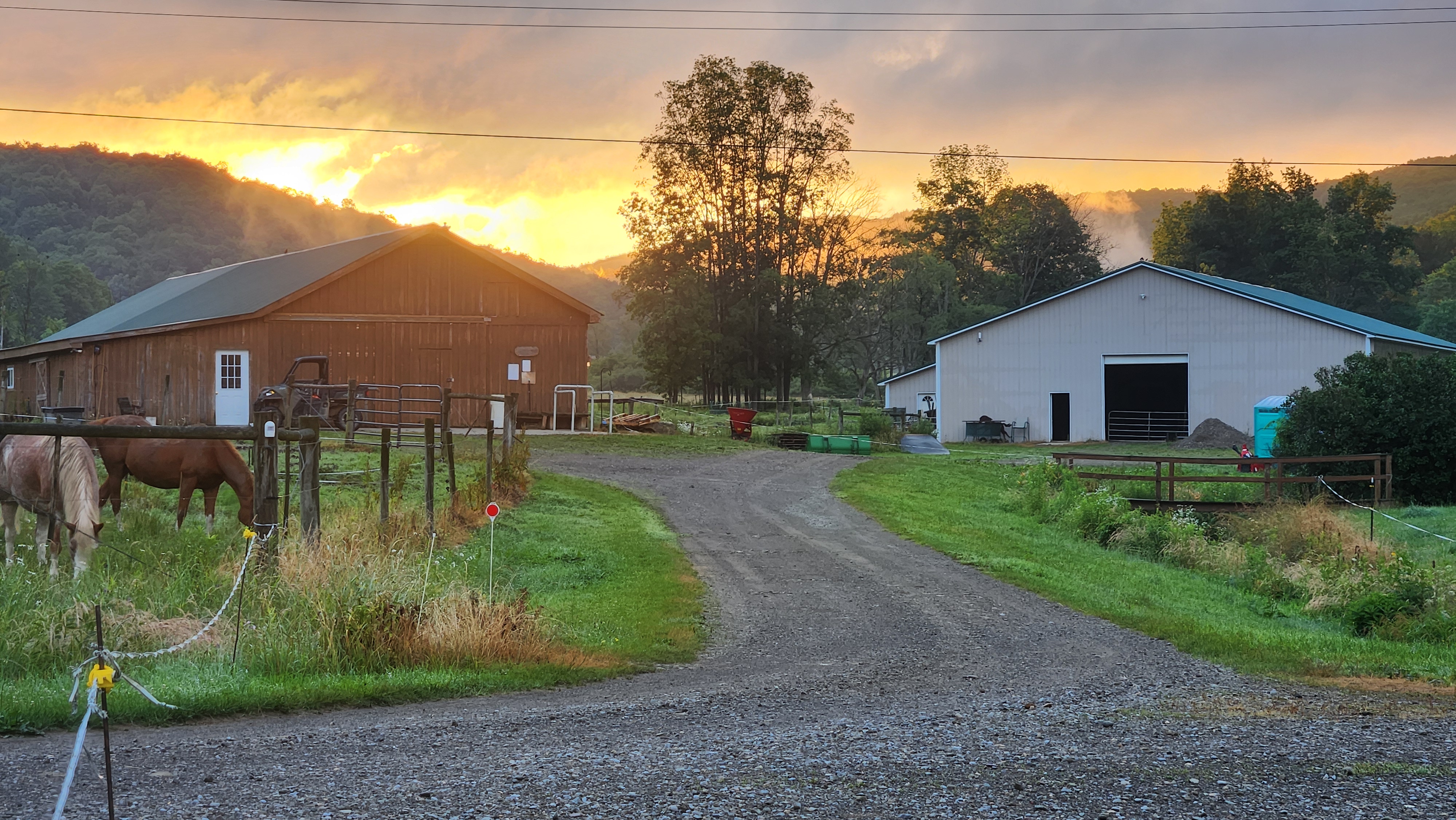 Barns