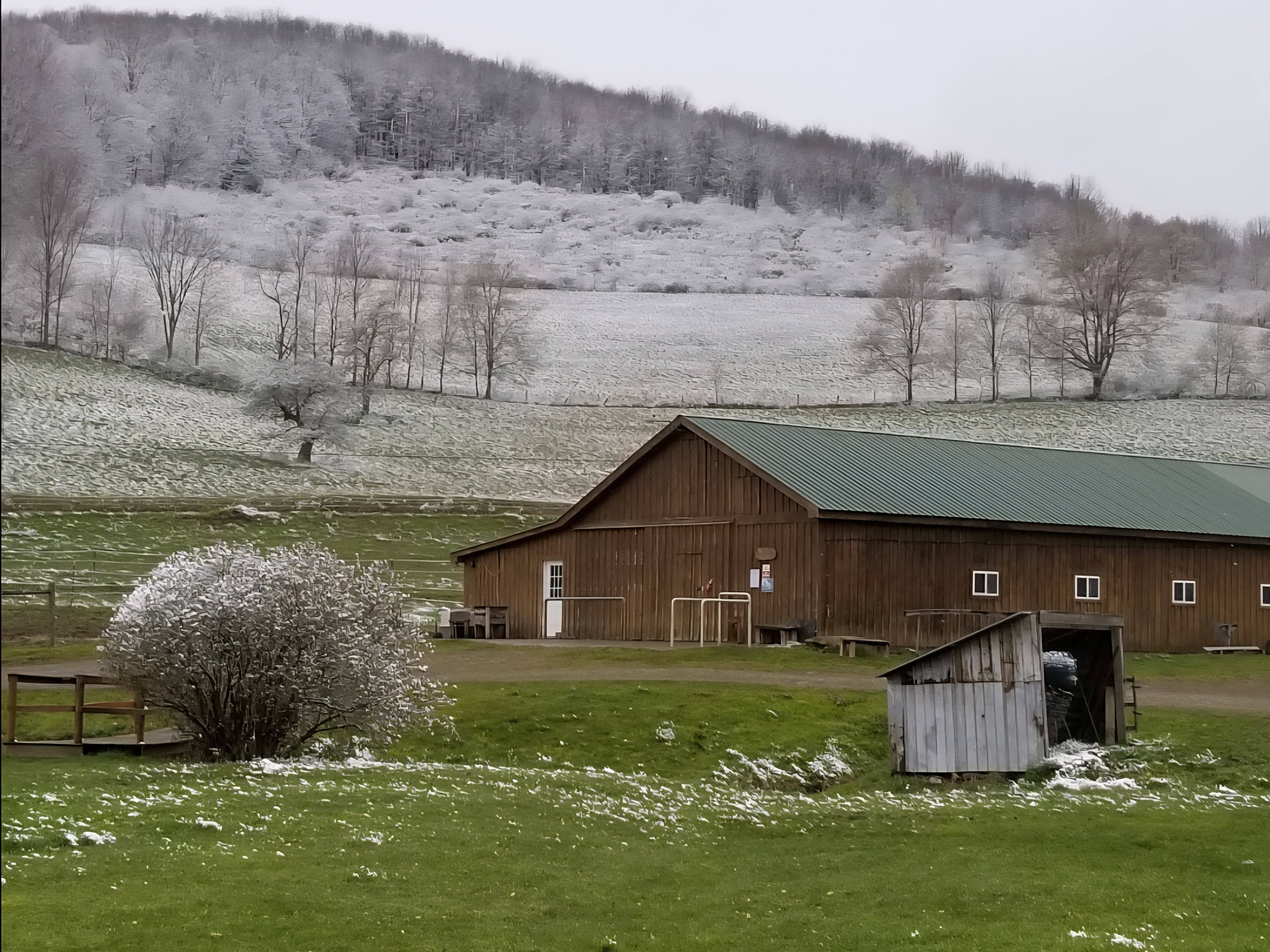 Barn