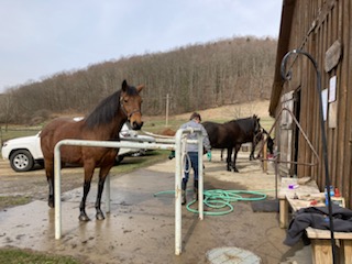 Outdoor wash rack