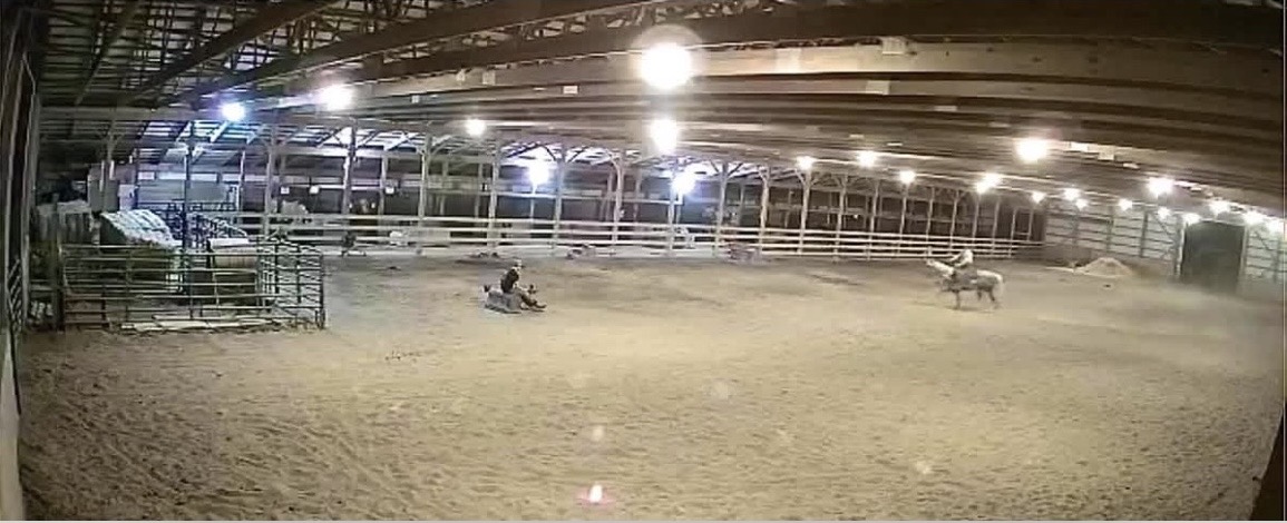 🐴
