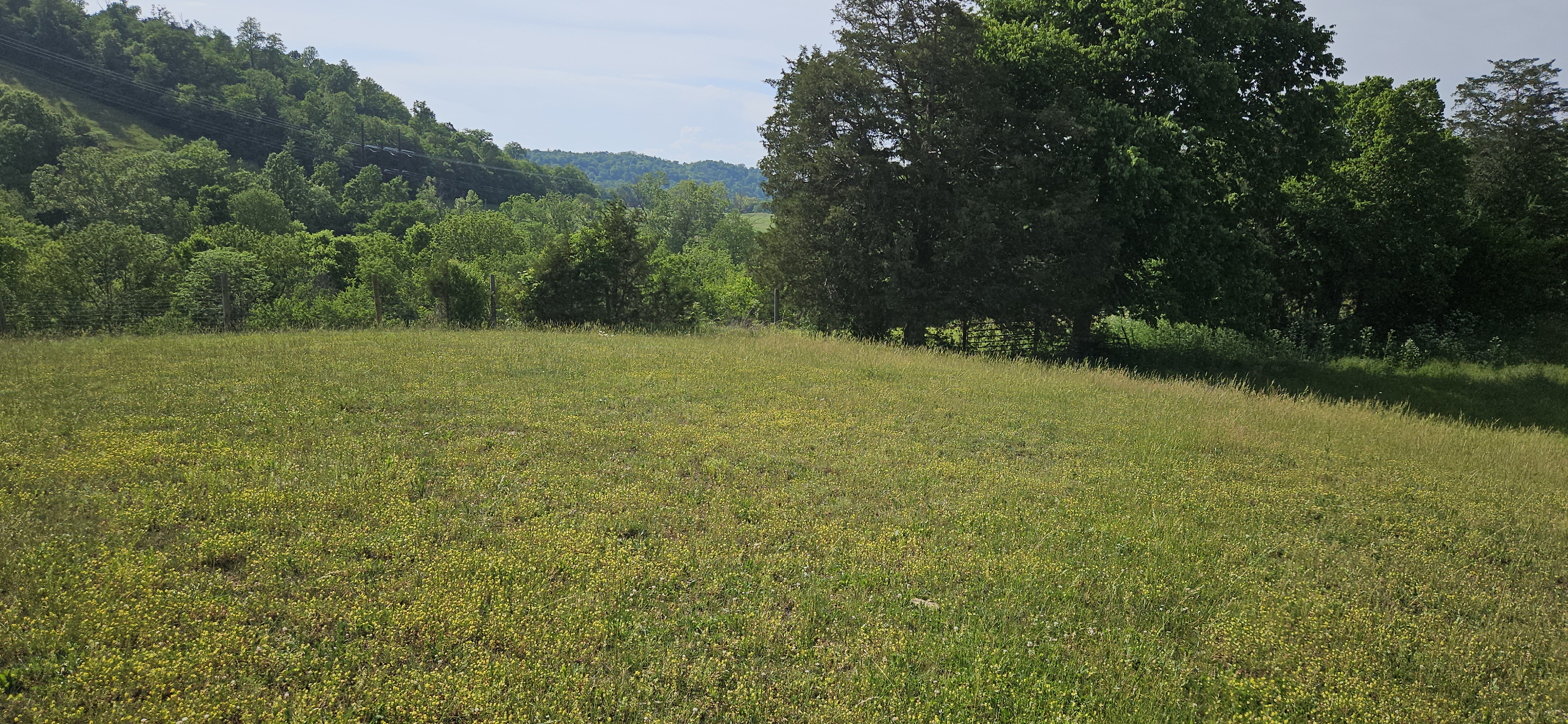 Pasture view