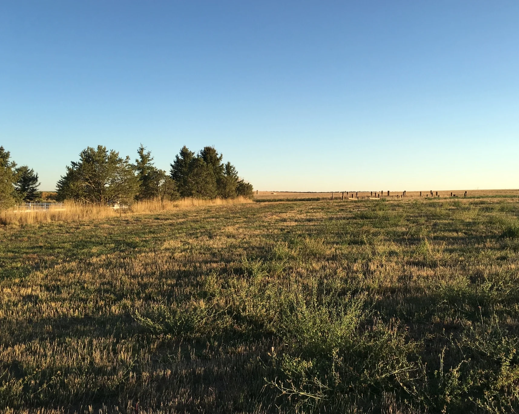 300 acres of open space to ride on year round