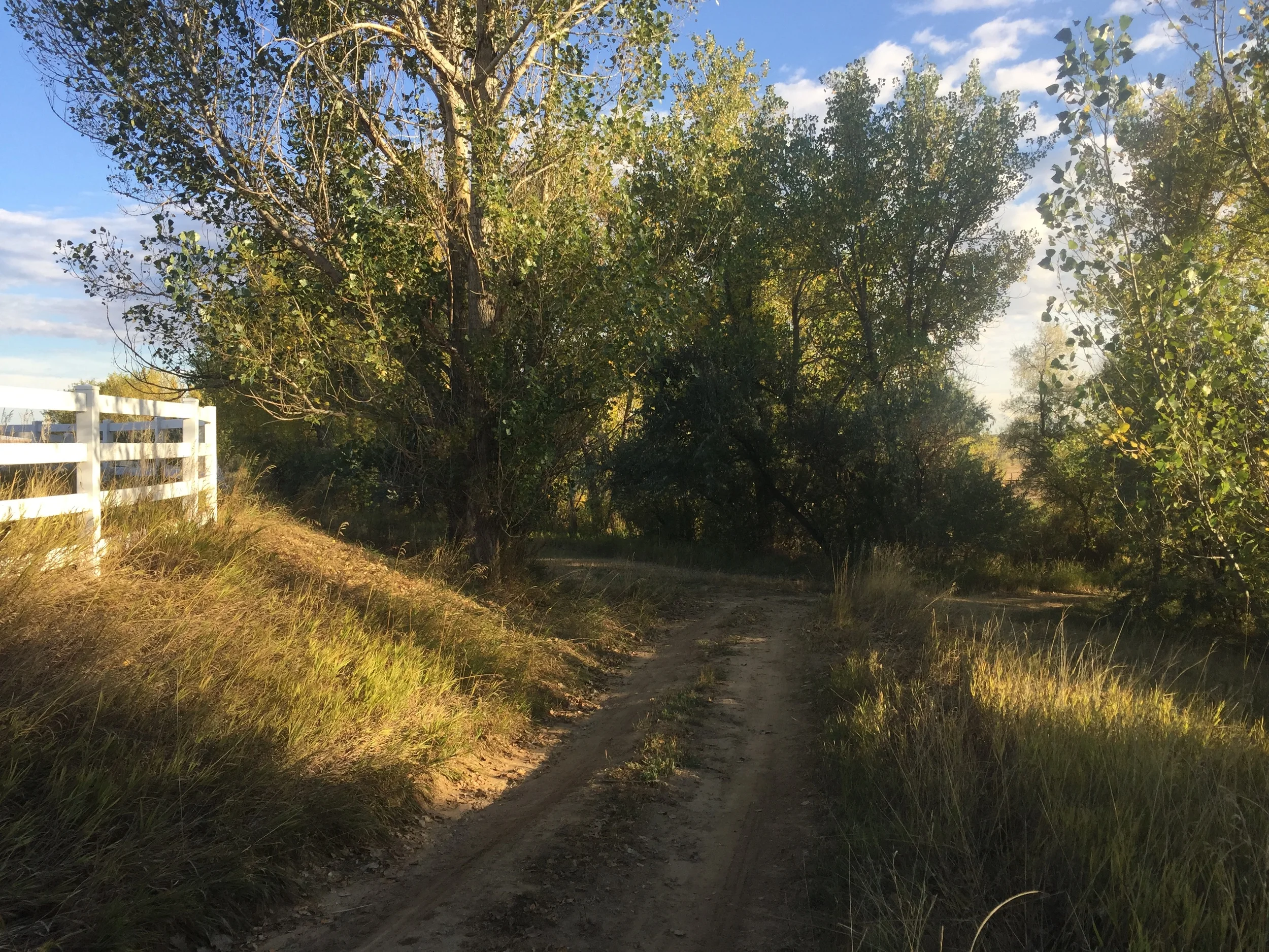 Explore and unwind