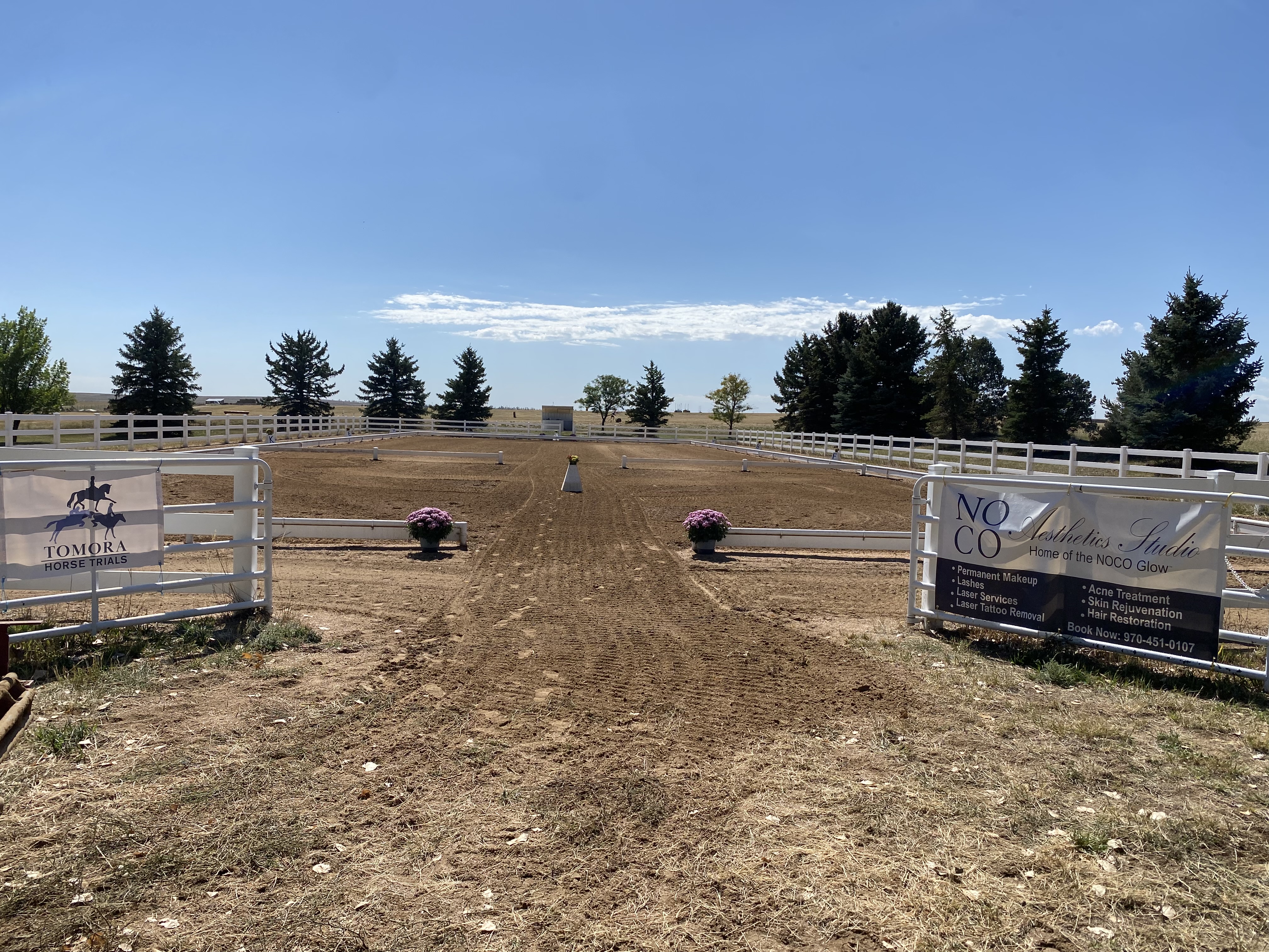 Regulation size dressage court