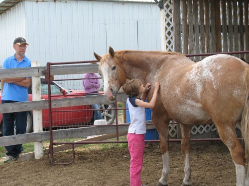 being brushed by young girl