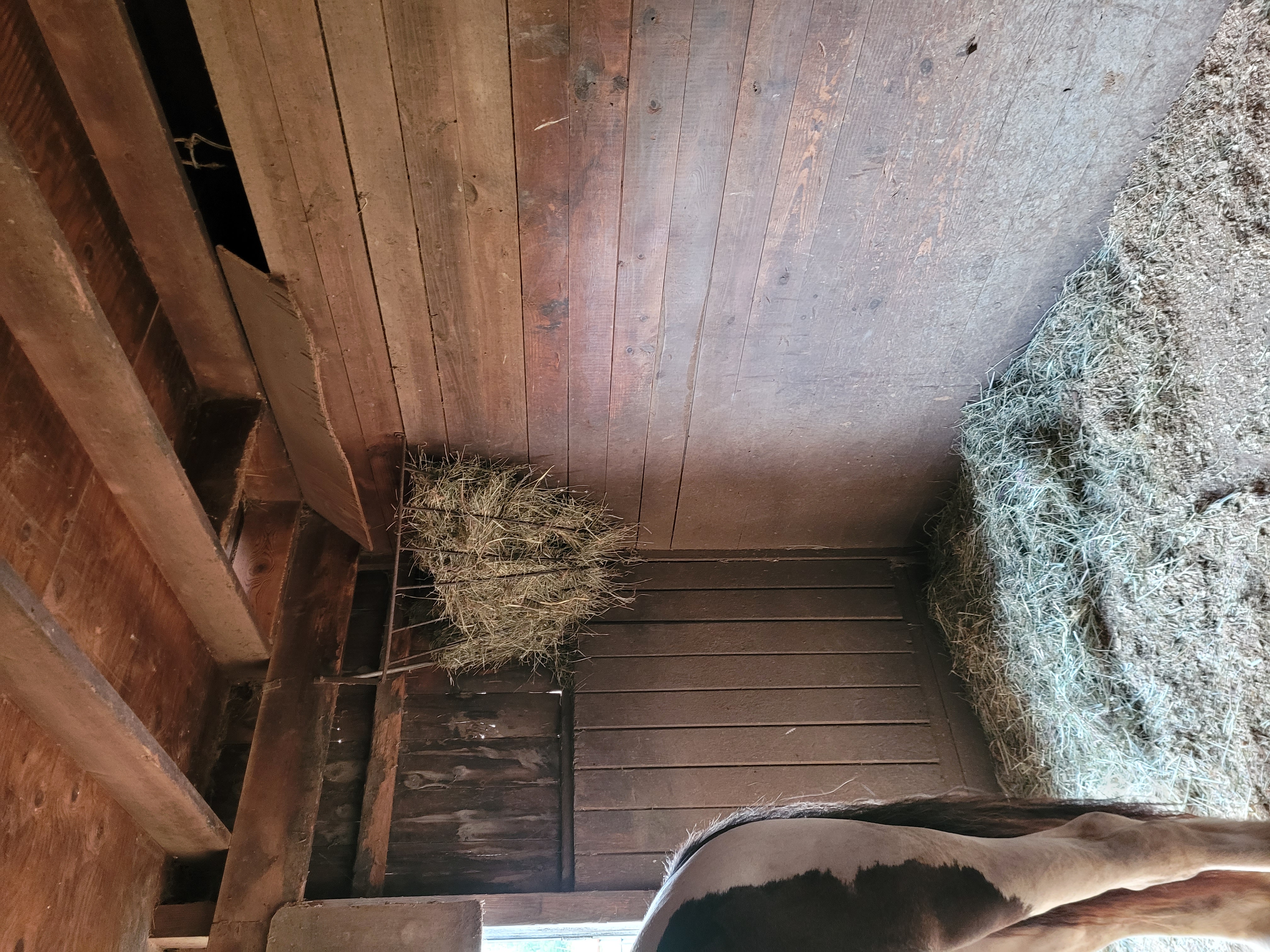 Stall 1