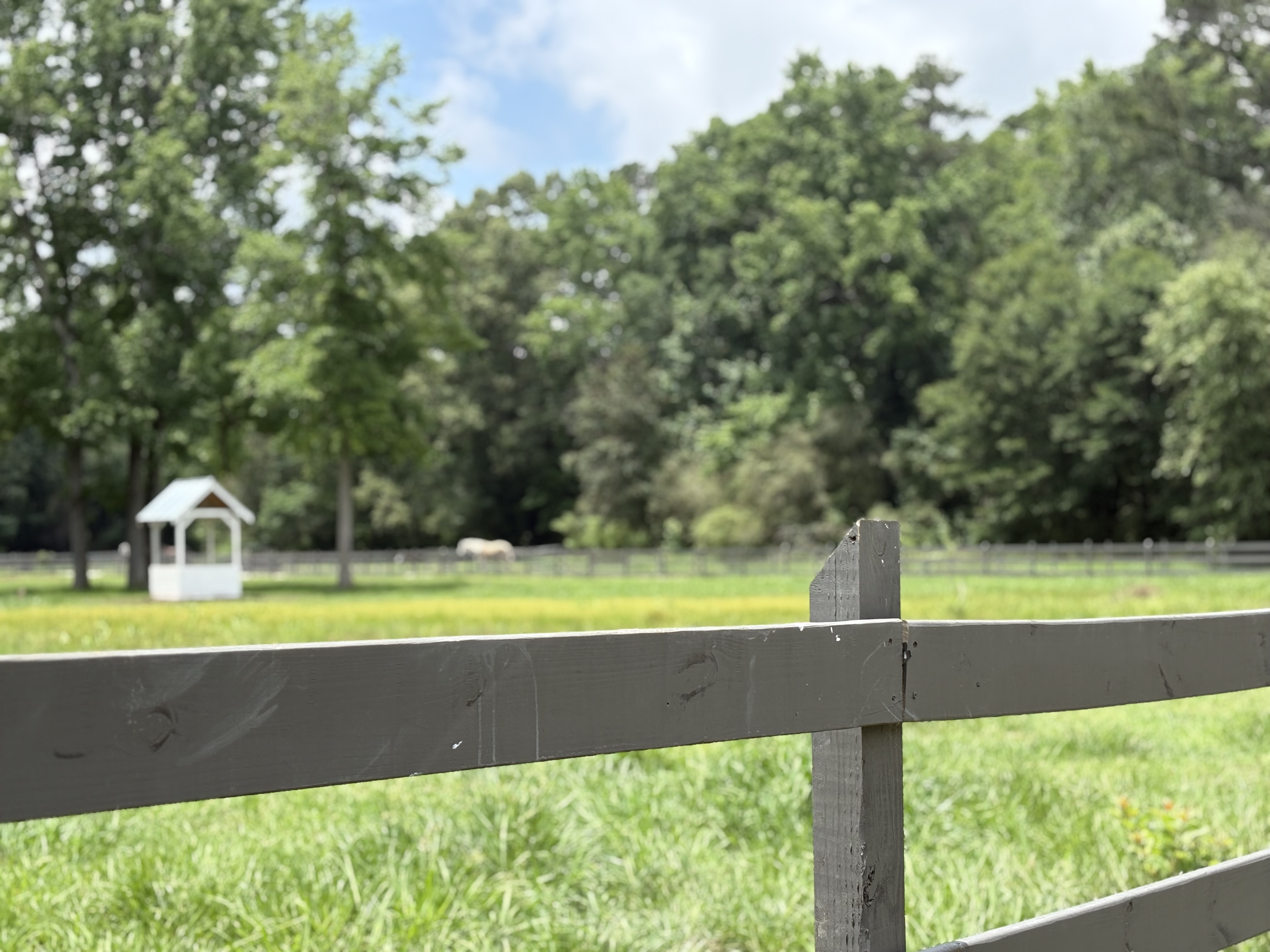 Beautiful Pastures
