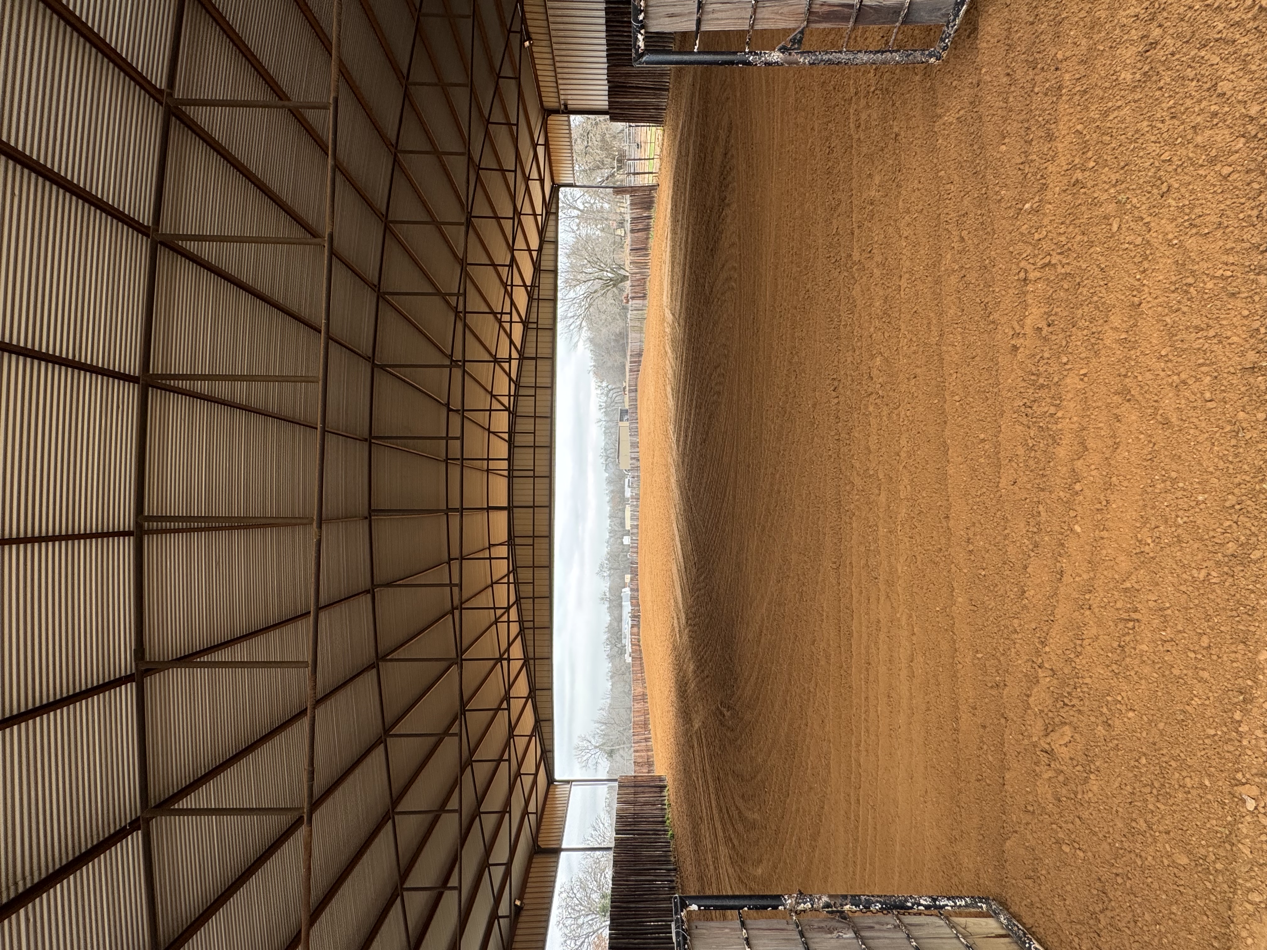 Arena
