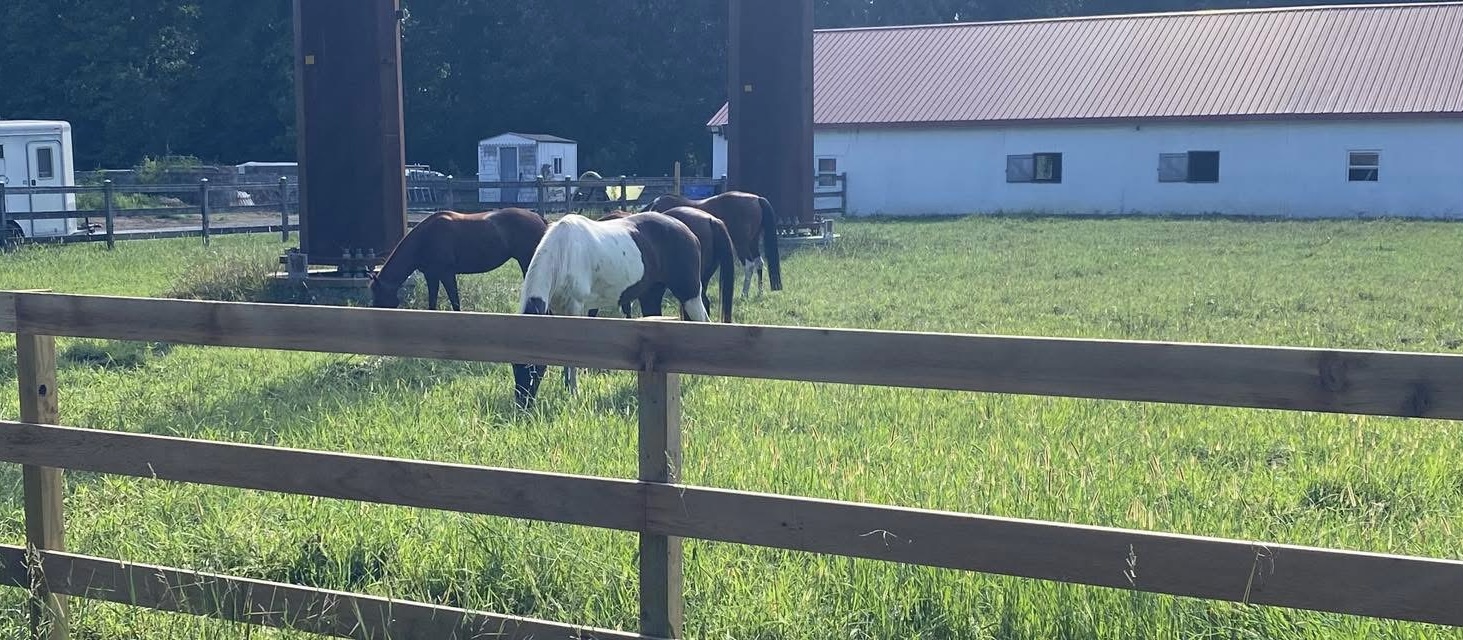 Pasture 2