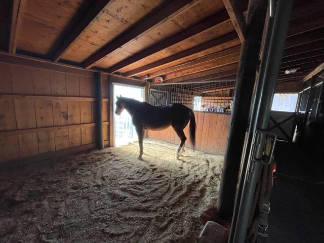 Stall