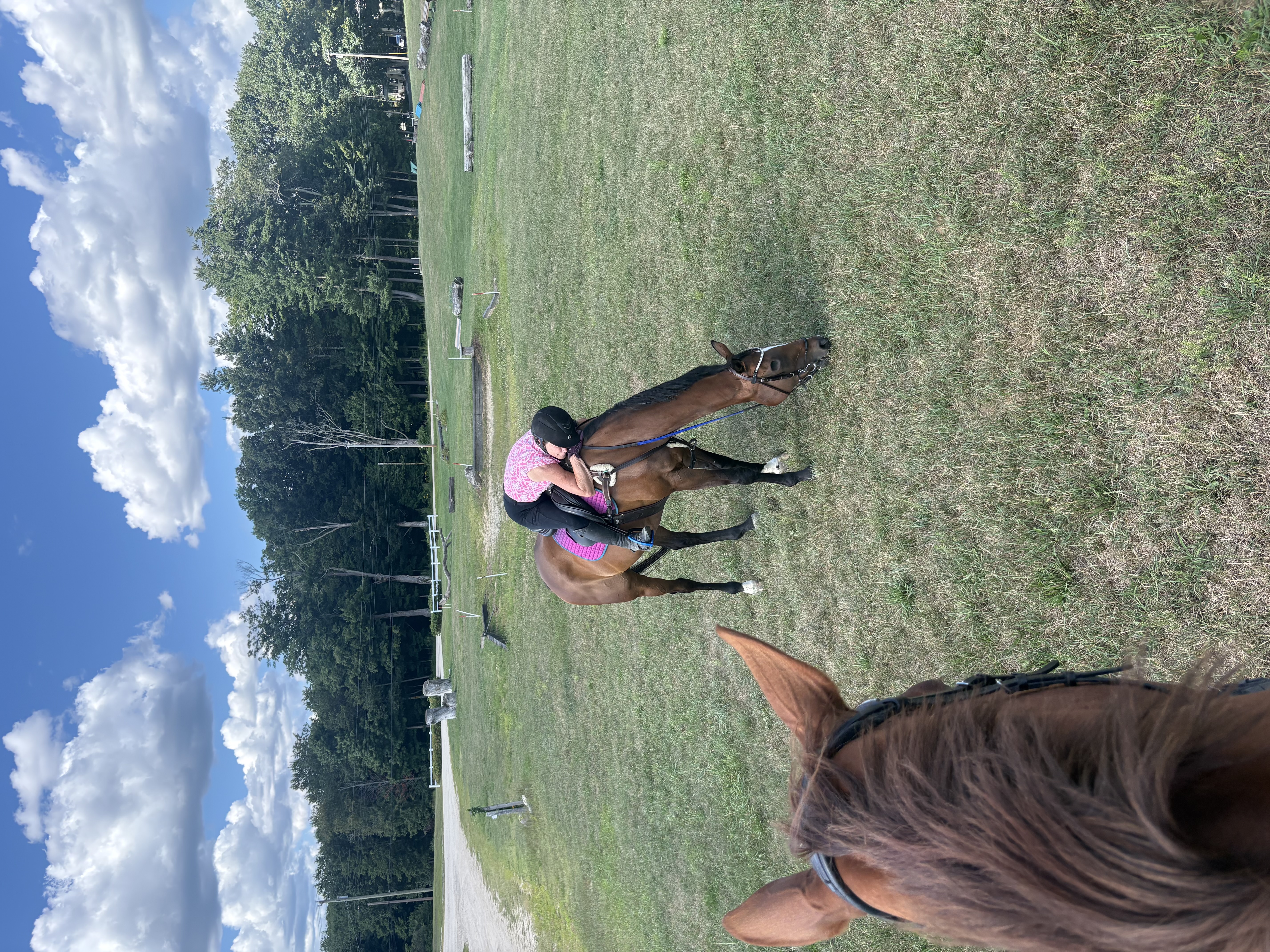 Part of the field adjacent to the barn. And one tired trainer!