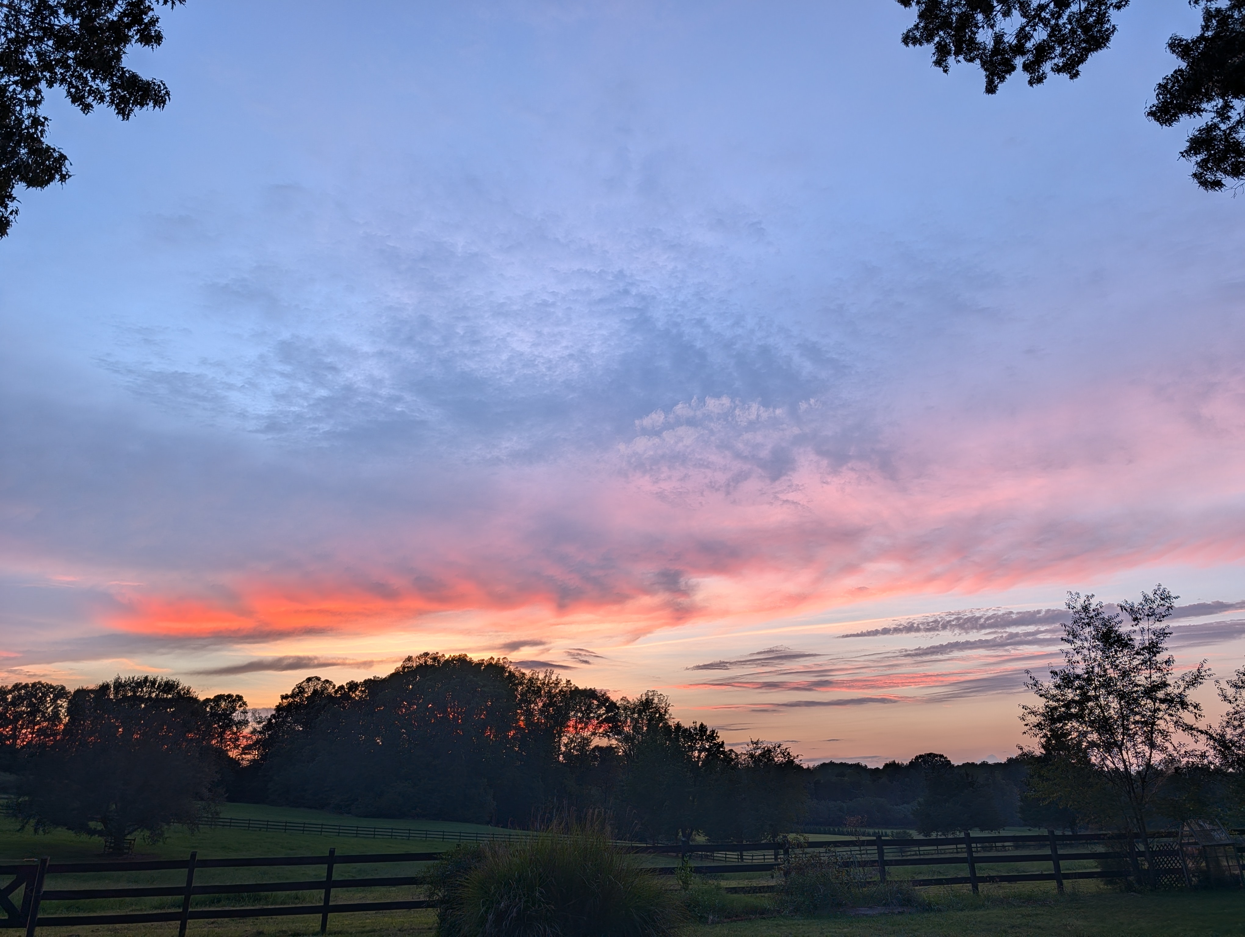 Pasture in front of the home