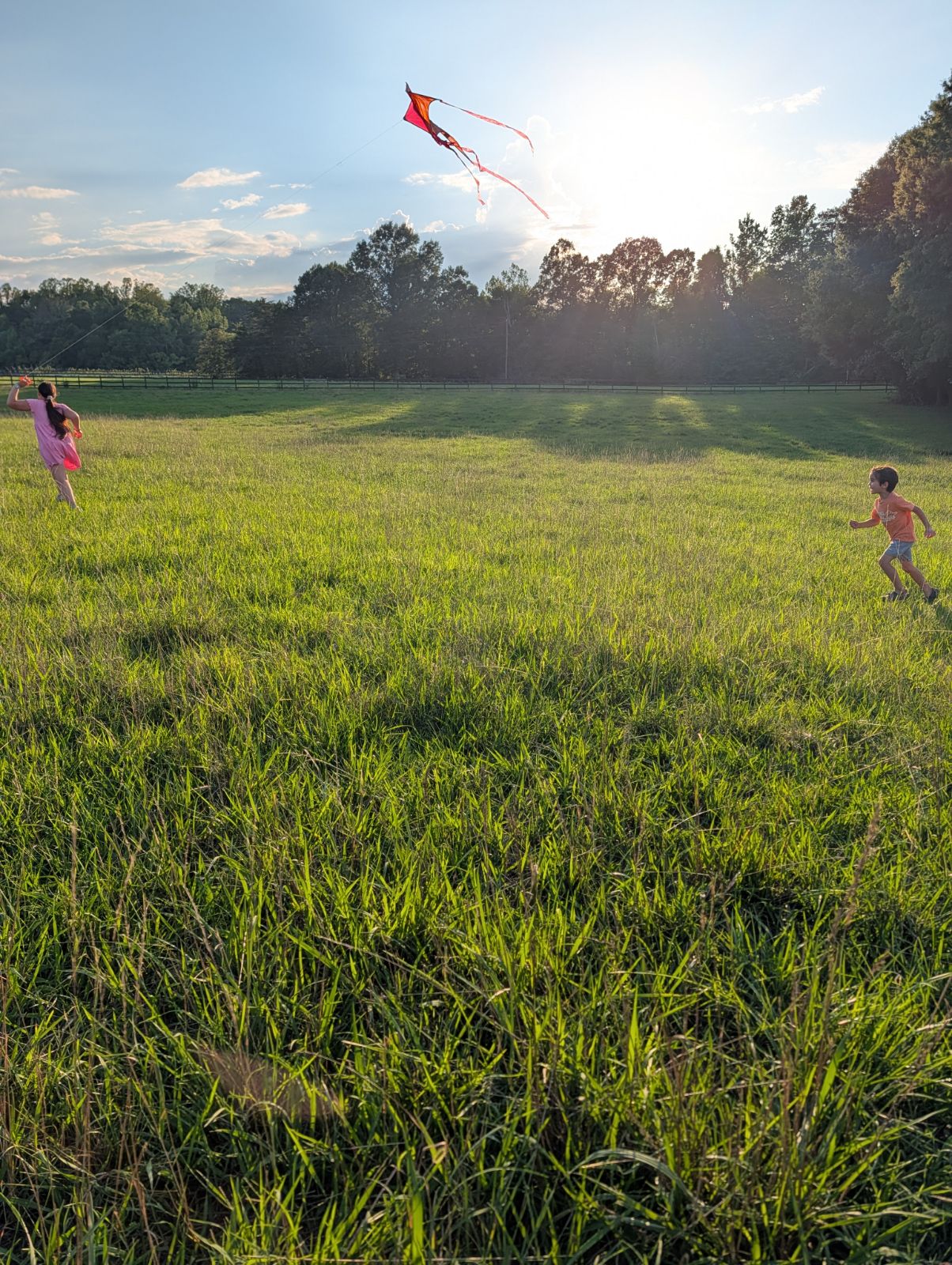 Front pasture