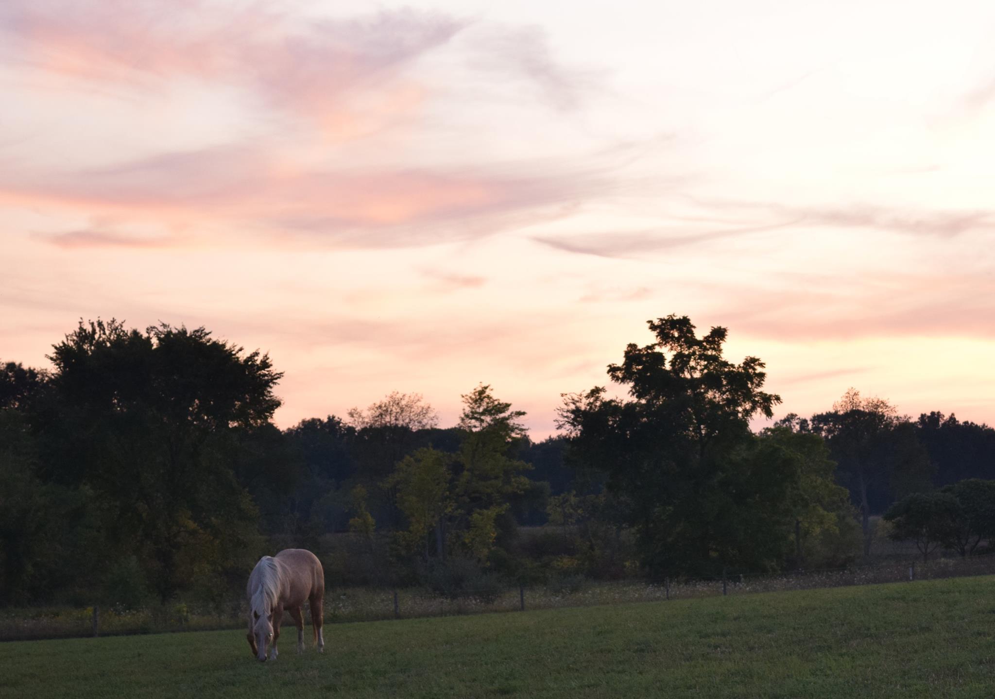 Pastures