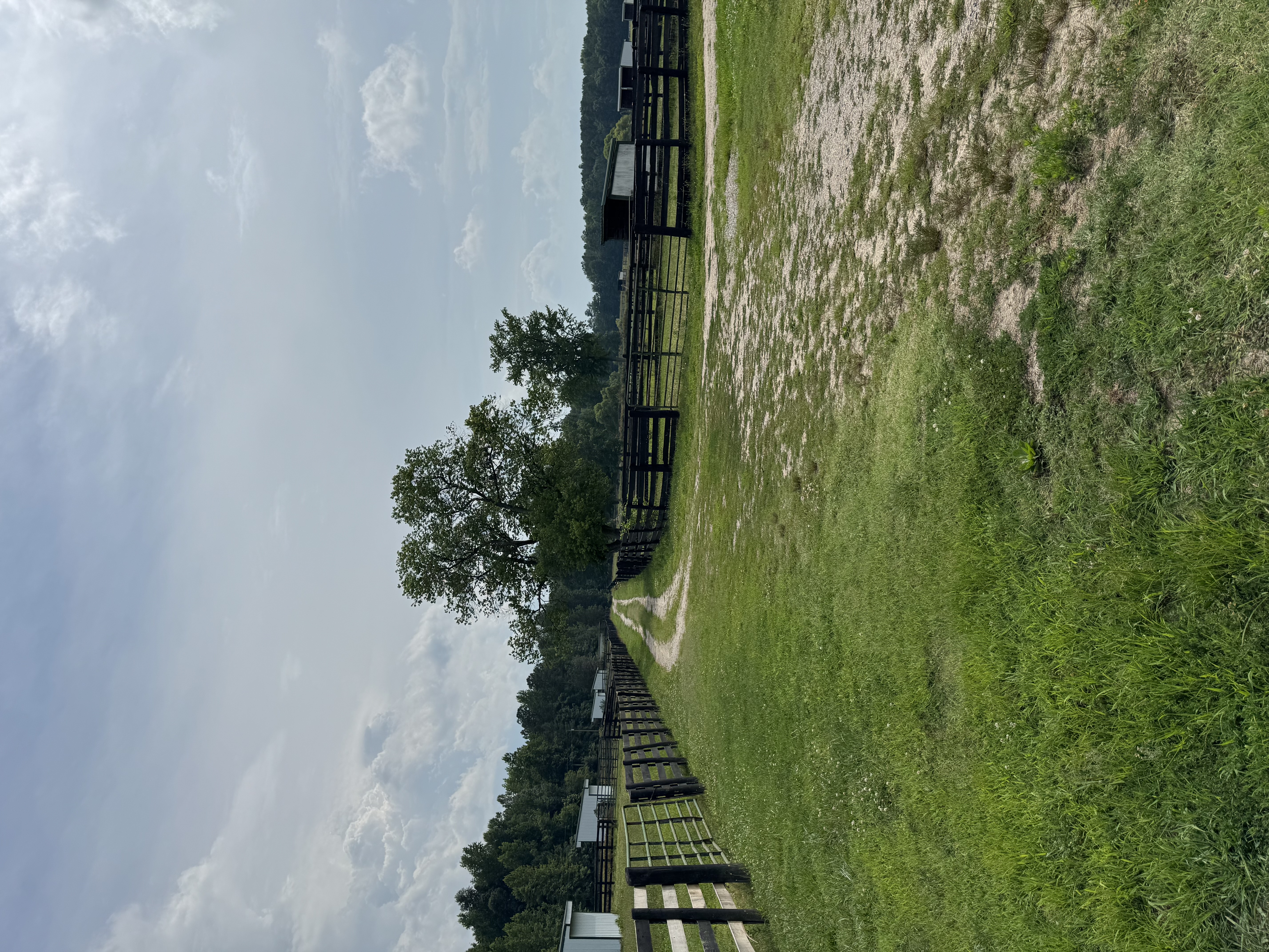 Pastures/paddocks