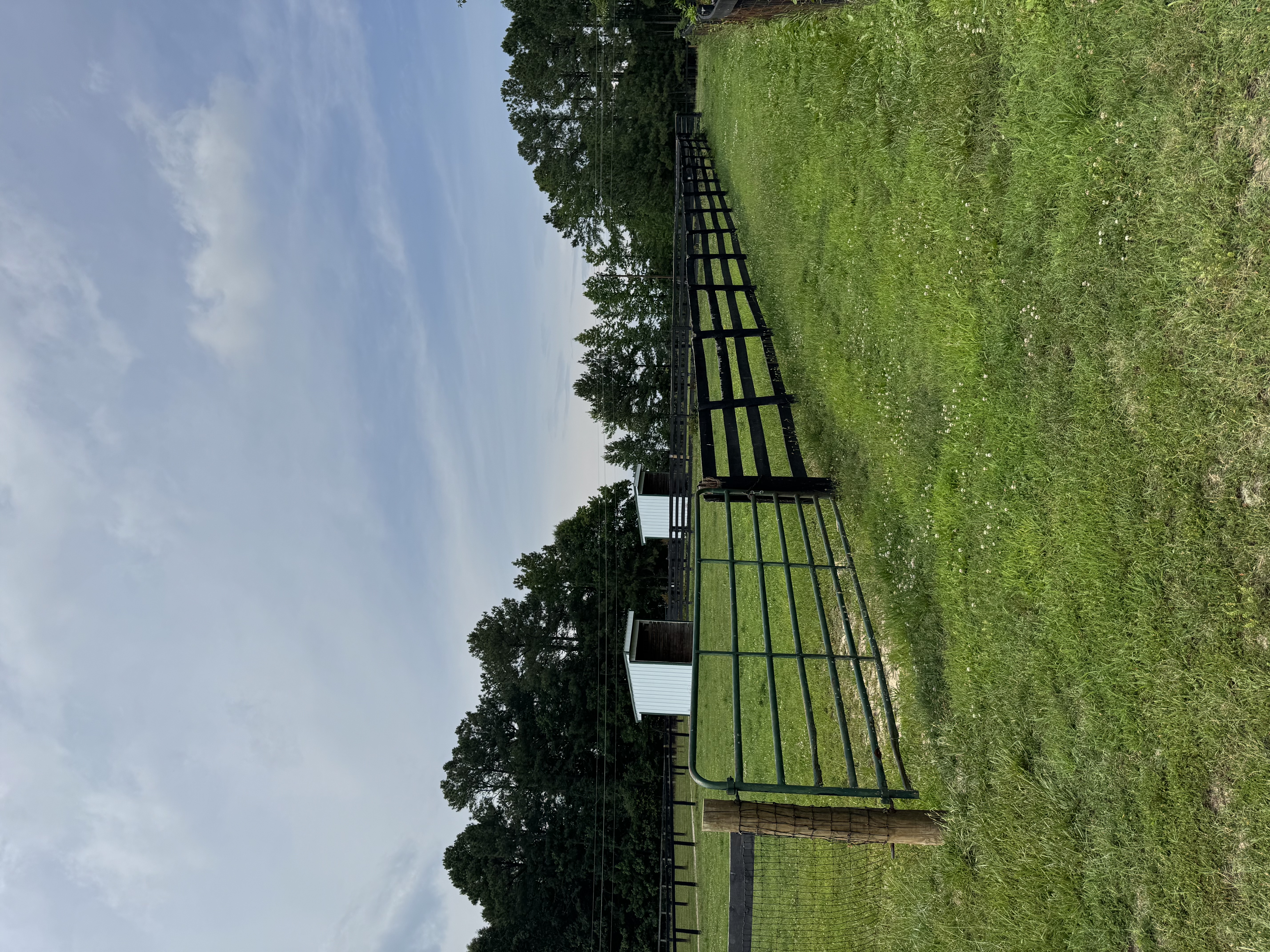 Smaller Paddocks