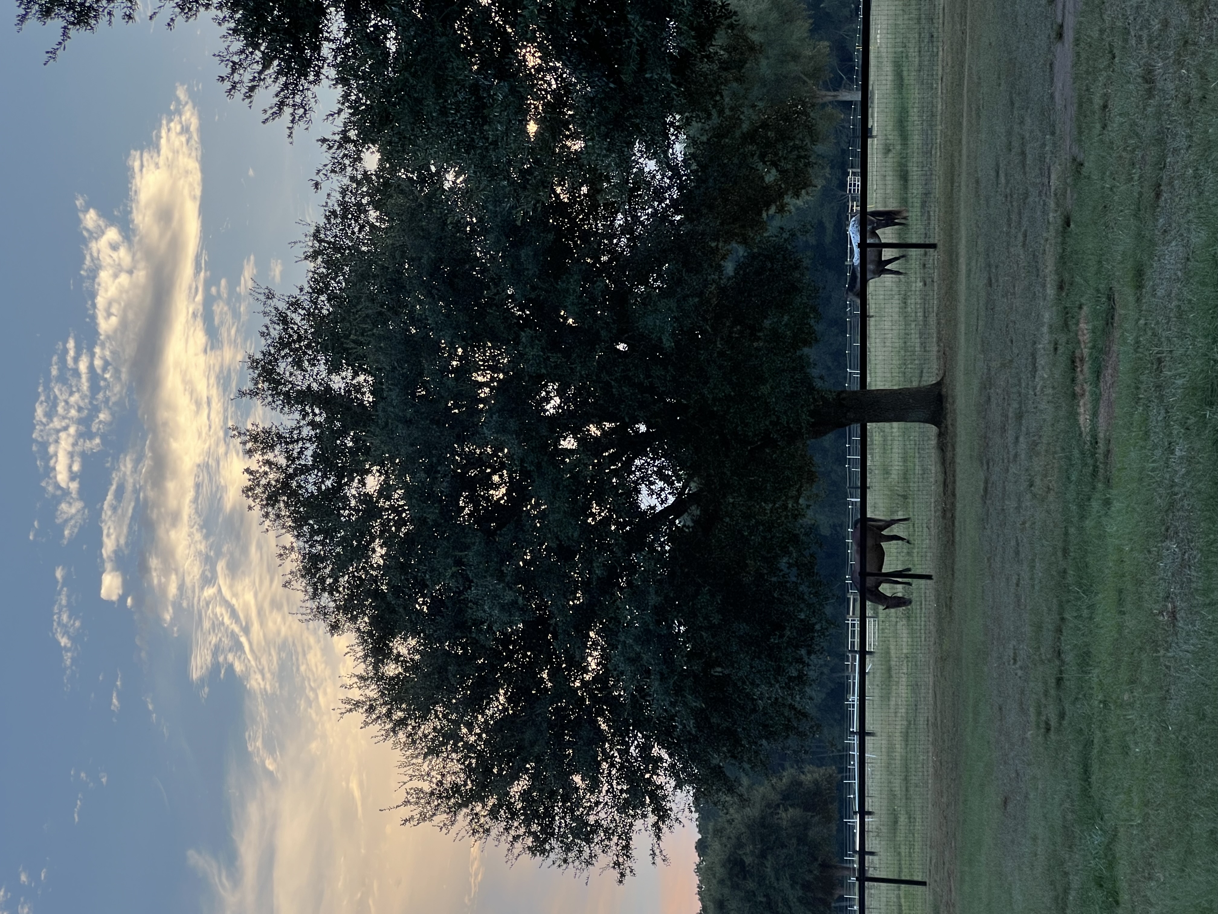 Paddocks