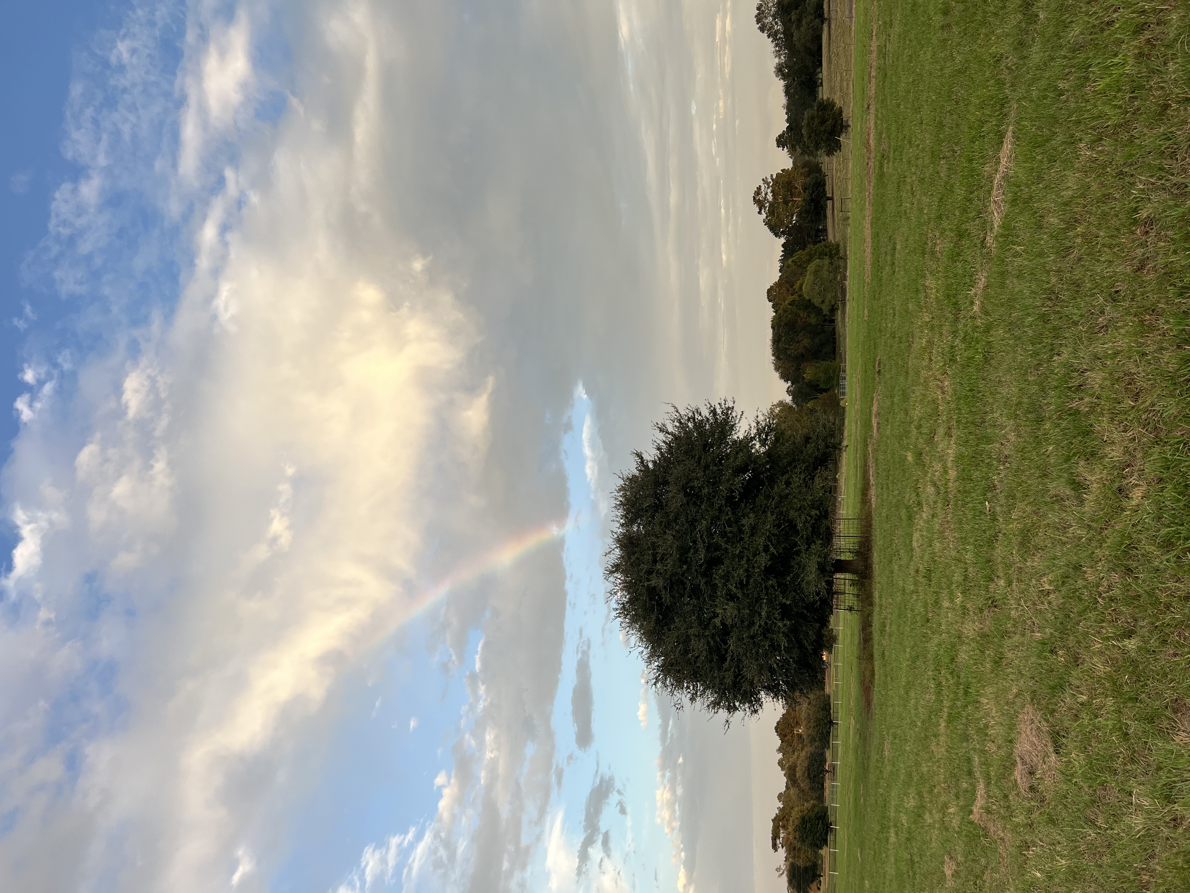 Farm and paddocks