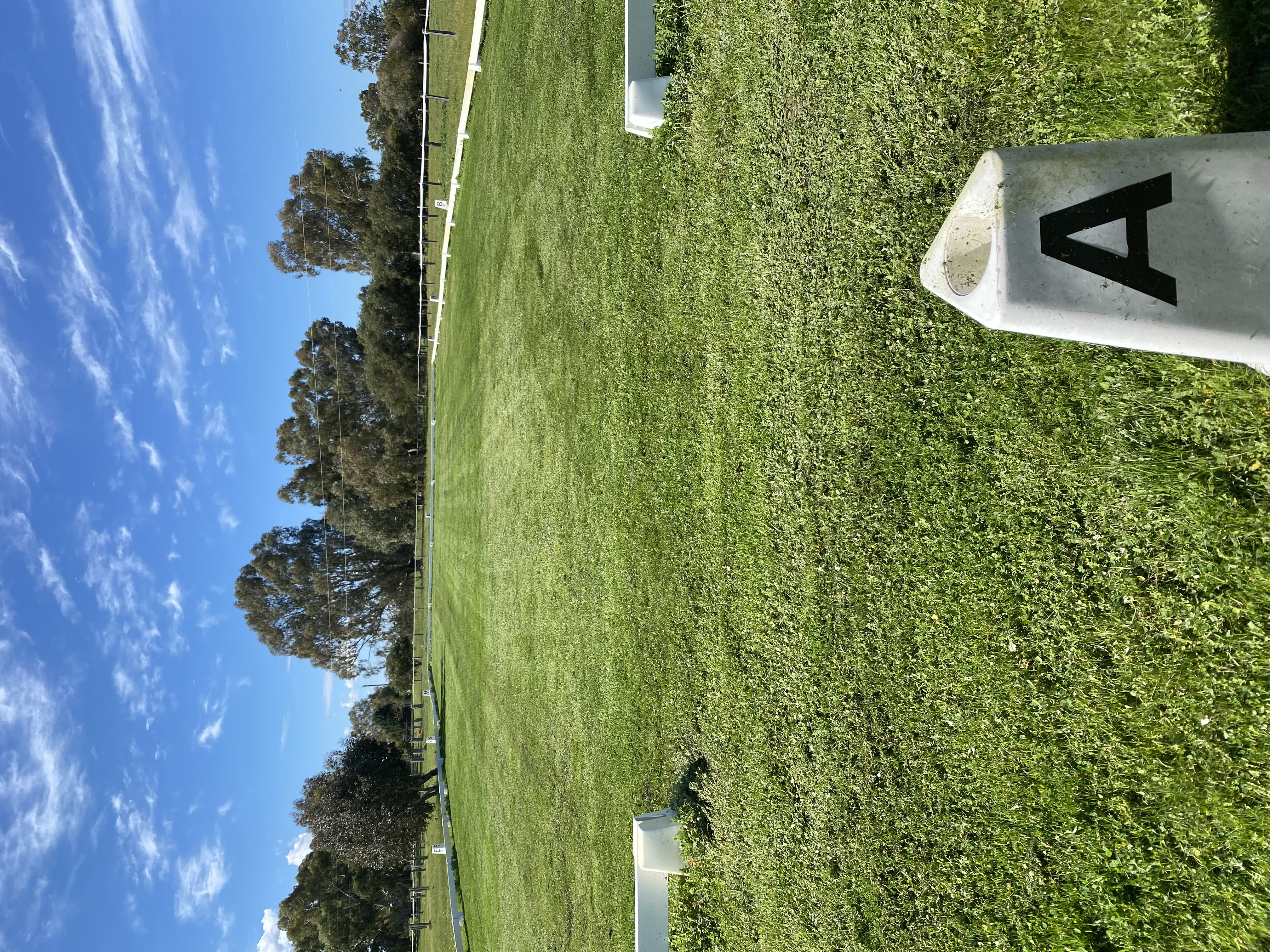 Dressage Arena
