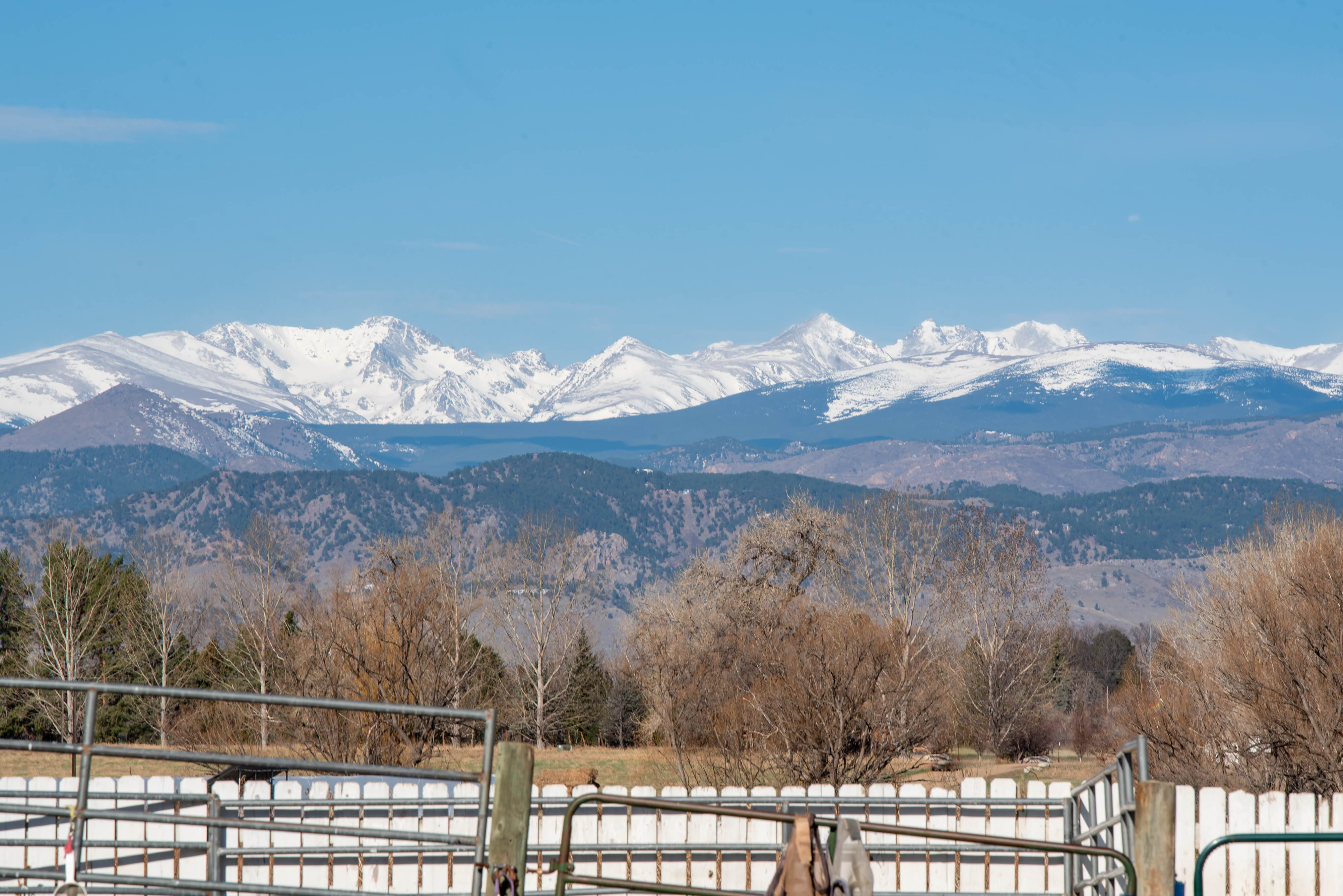 View from the farm