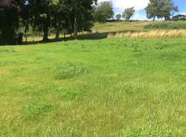 Field